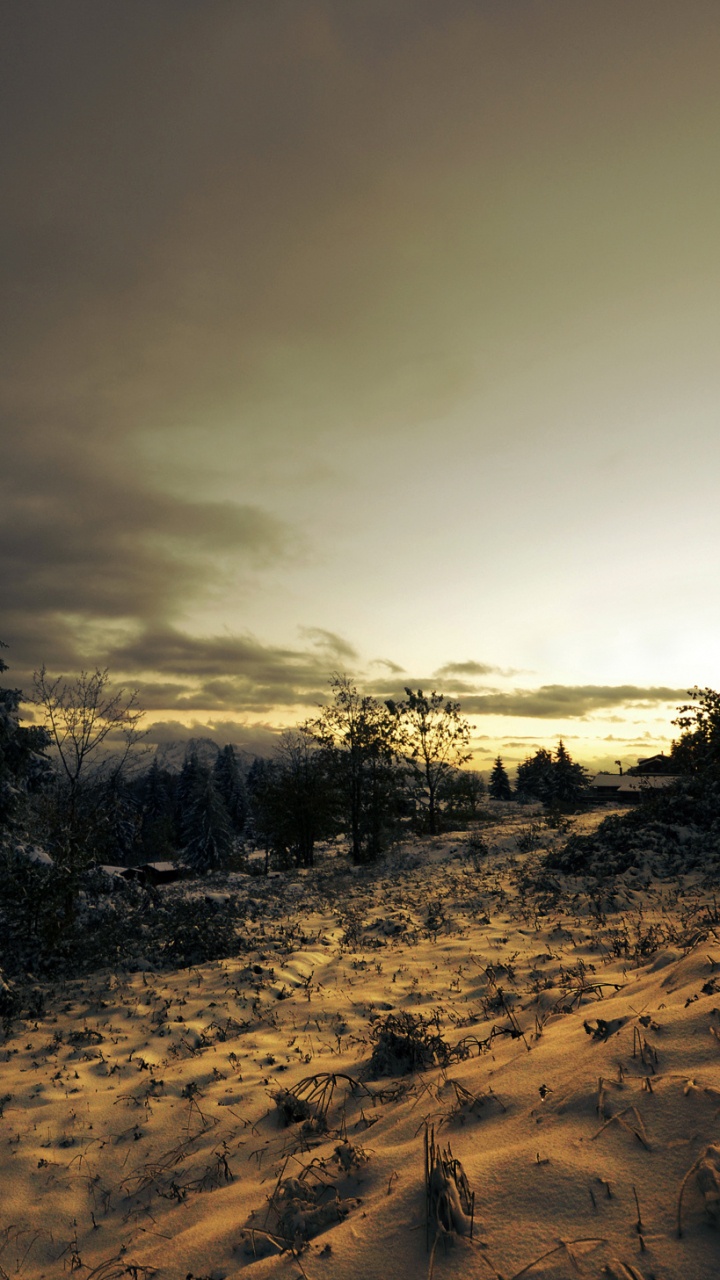 Обои снег, зима, дерево, облако, атмосфера в разрешении 720x1280