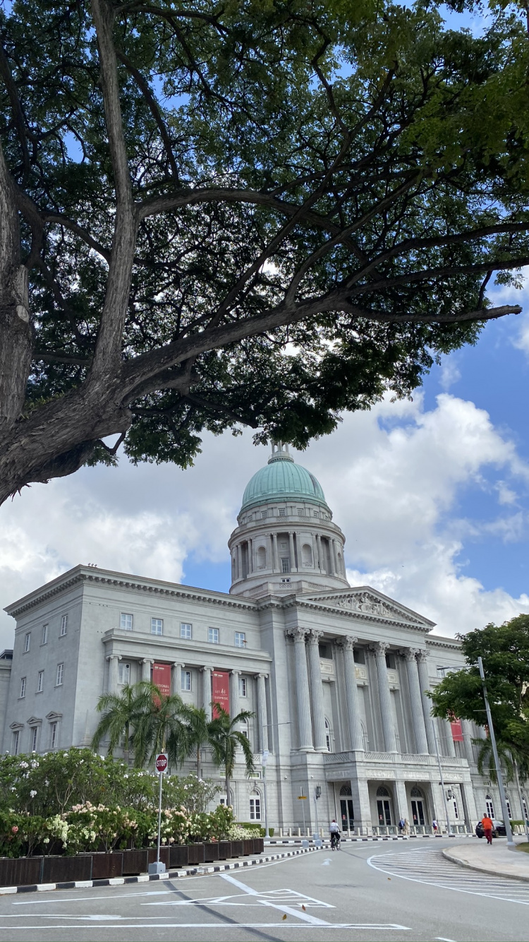 Обои Сингапур, ориентир, достопримечательность, наука, биология в разрешении 750x1334