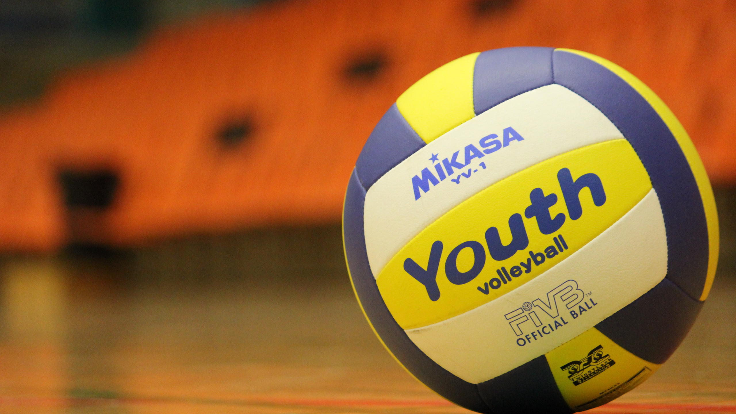 Обои волейбол, мяч, командный вид спорта, футбольный мяч, занятие спортом в разрешении 2560x1440