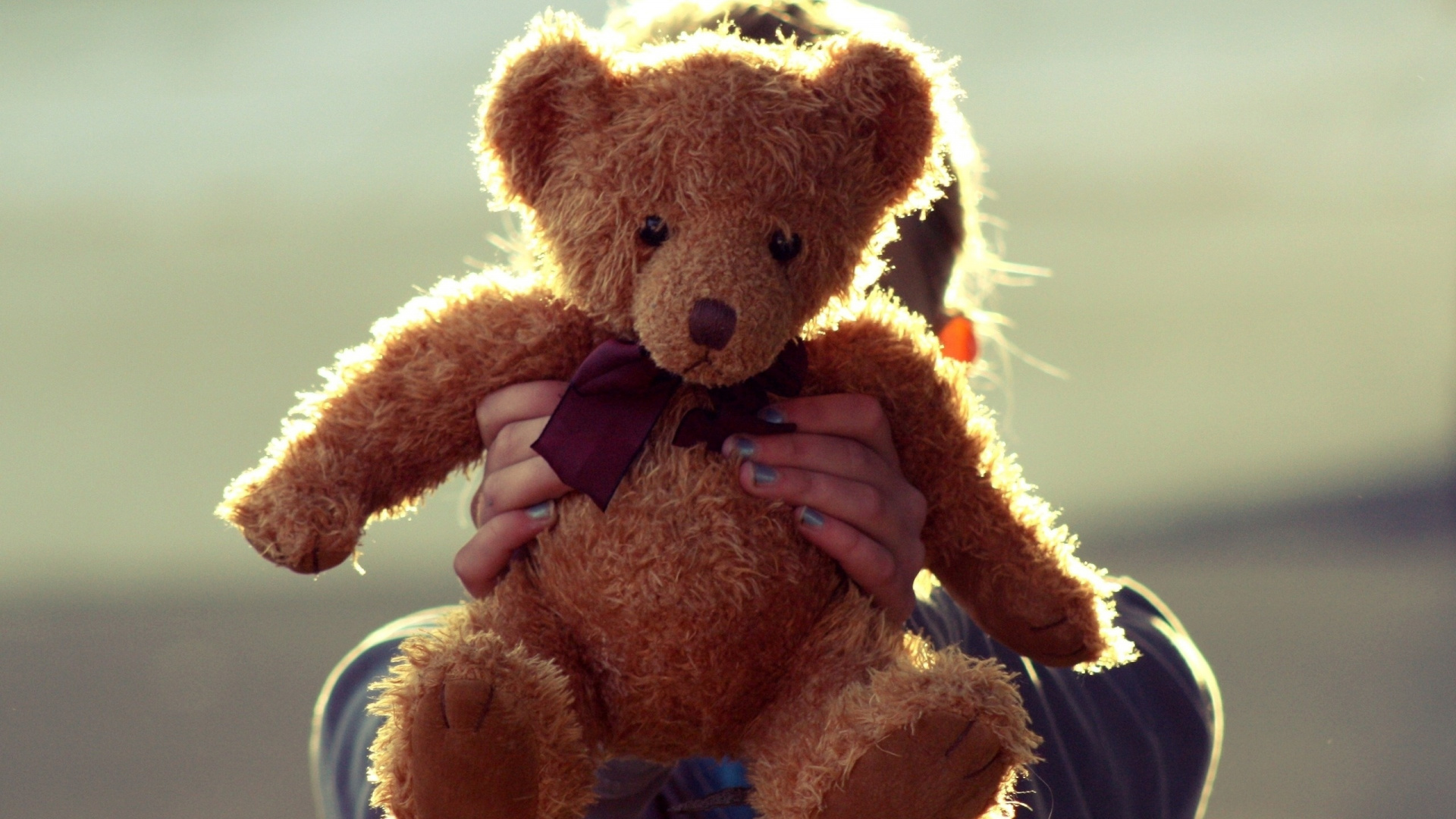 Обои плюшевый мишка, мягкая игрушка, плюш, медведь, Мишка в разрешении 1920x1080