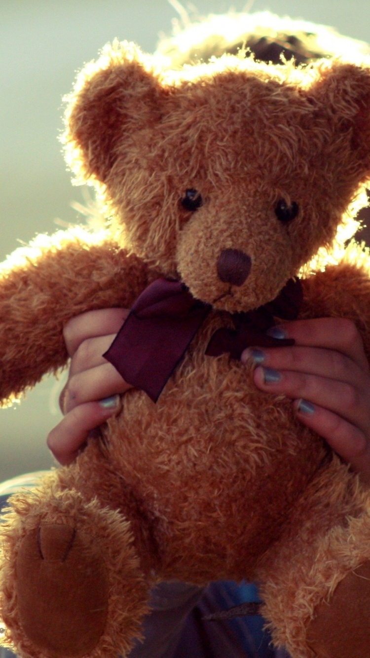 Обои плюшевый мишка, мягкая игрушка, плюш, медведь, Мишка в разрешении 750x1334