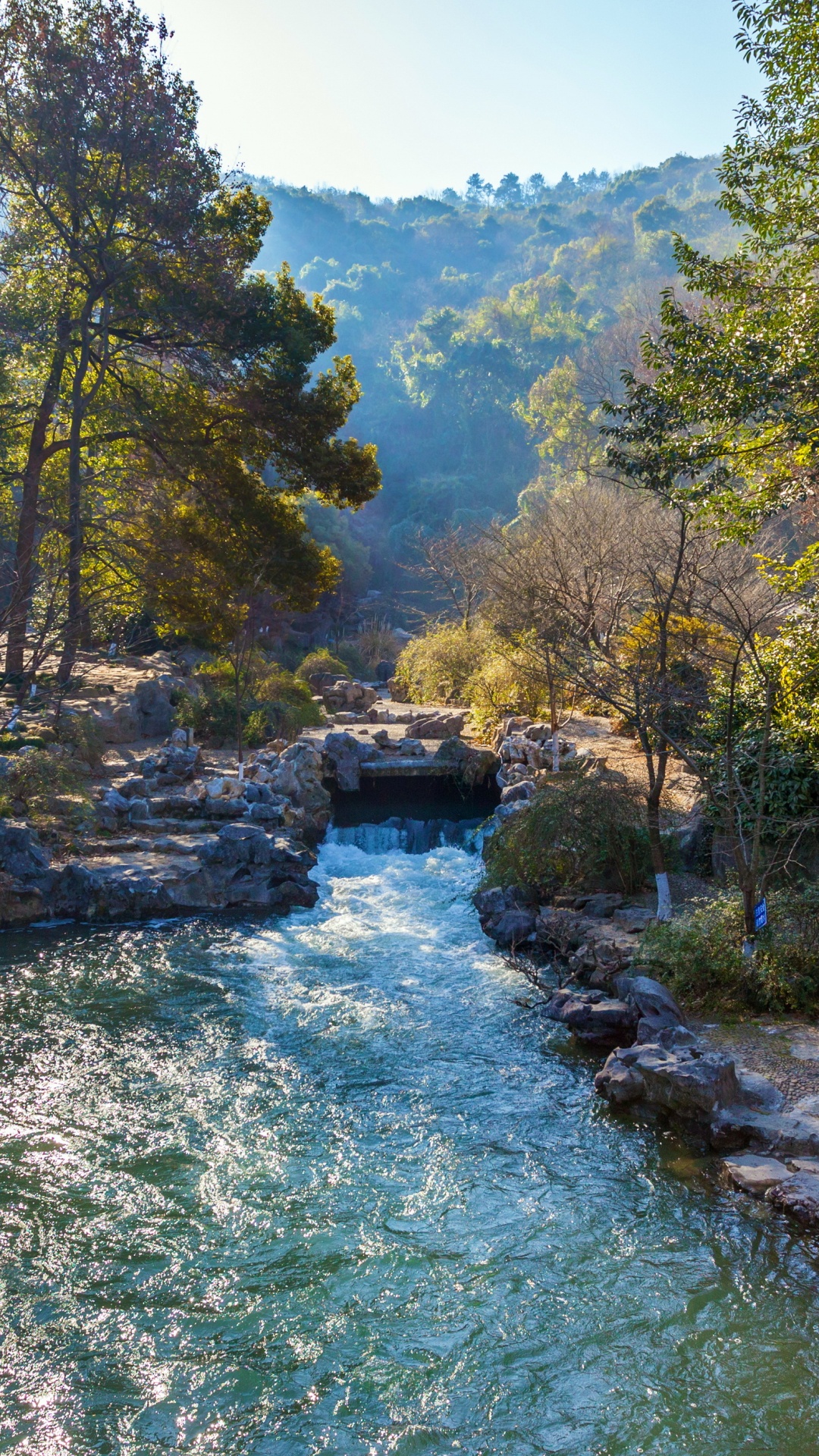 Обои реки, природа, дерево, вода, водоток в разрешении 1080x1920