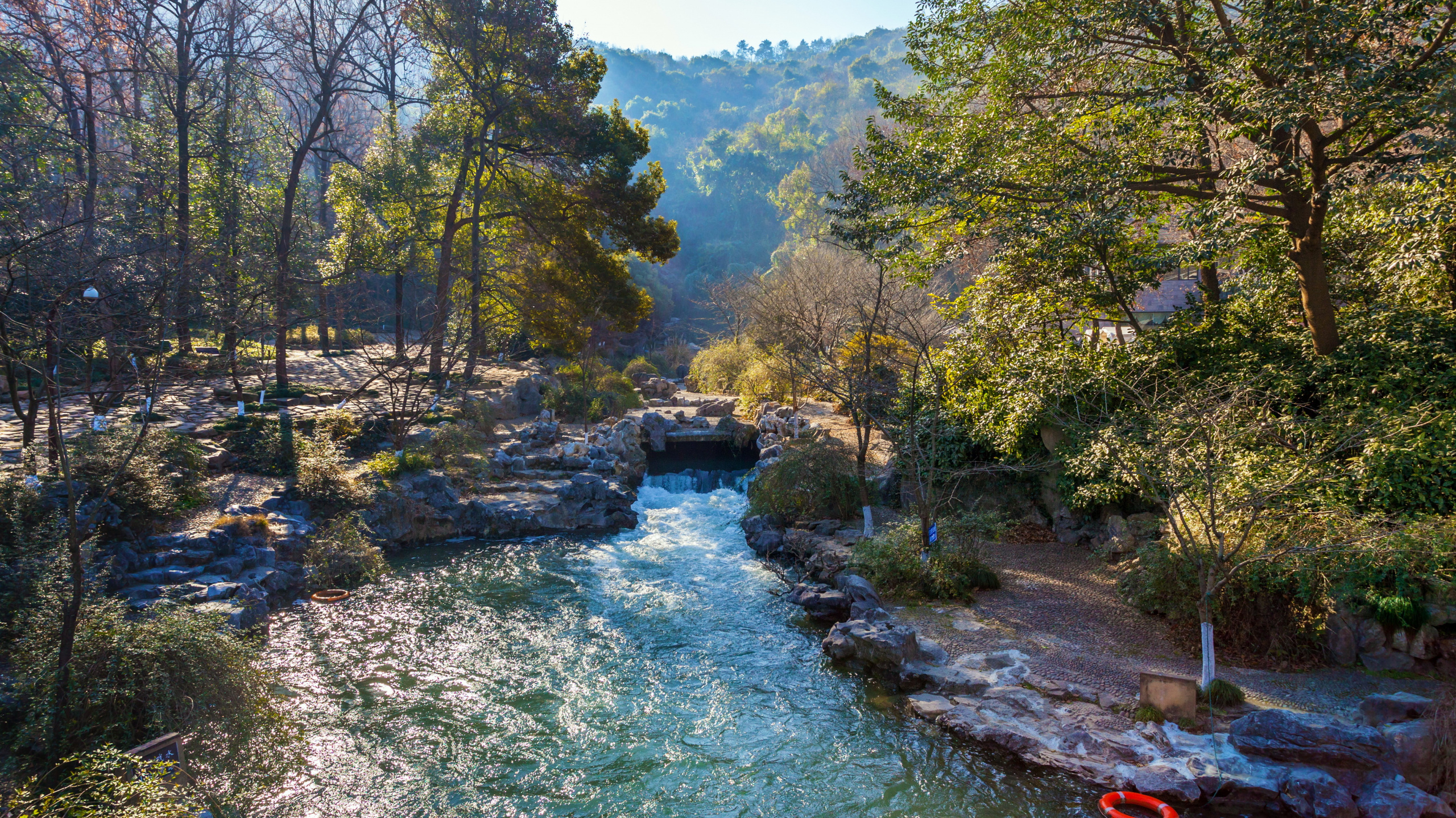 Обои реки, природа, дерево, вода, водоток в разрешении 2560x1440