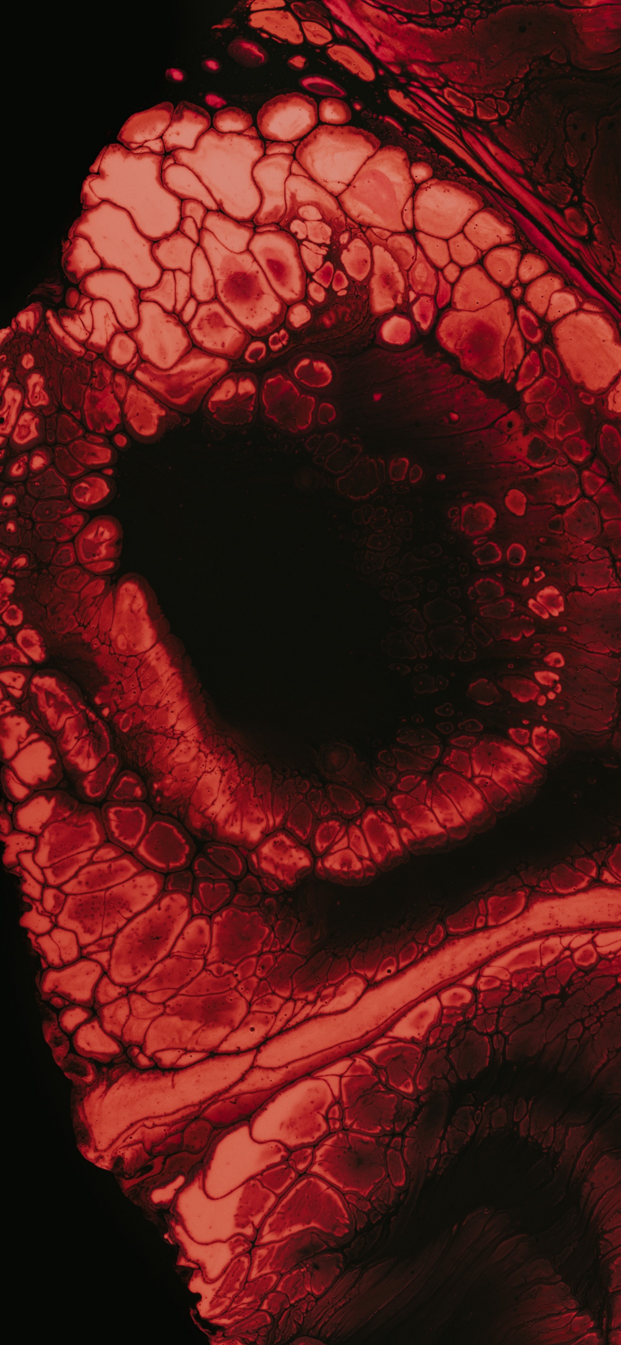 Обои фрактальное искусство, иллюстрация, красный цвет, глаз, орган в разрешении 1242x2688