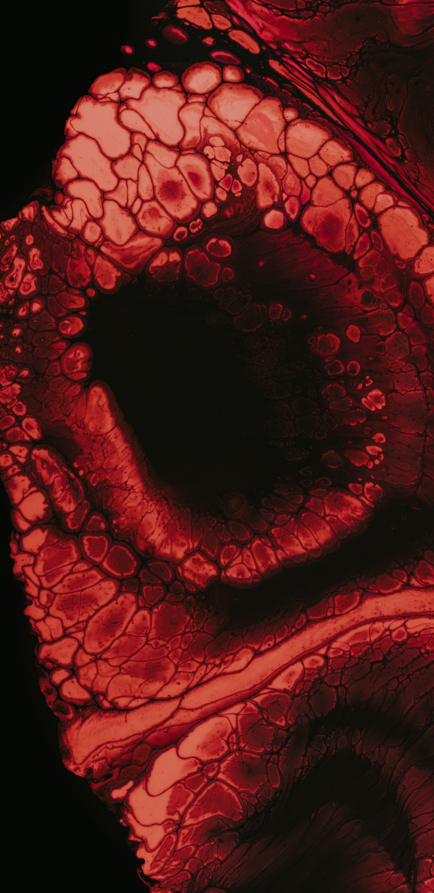 Обои фрактальное искусство, иллюстрация, красный цвет, глаз, орган в разрешении 1440x2960