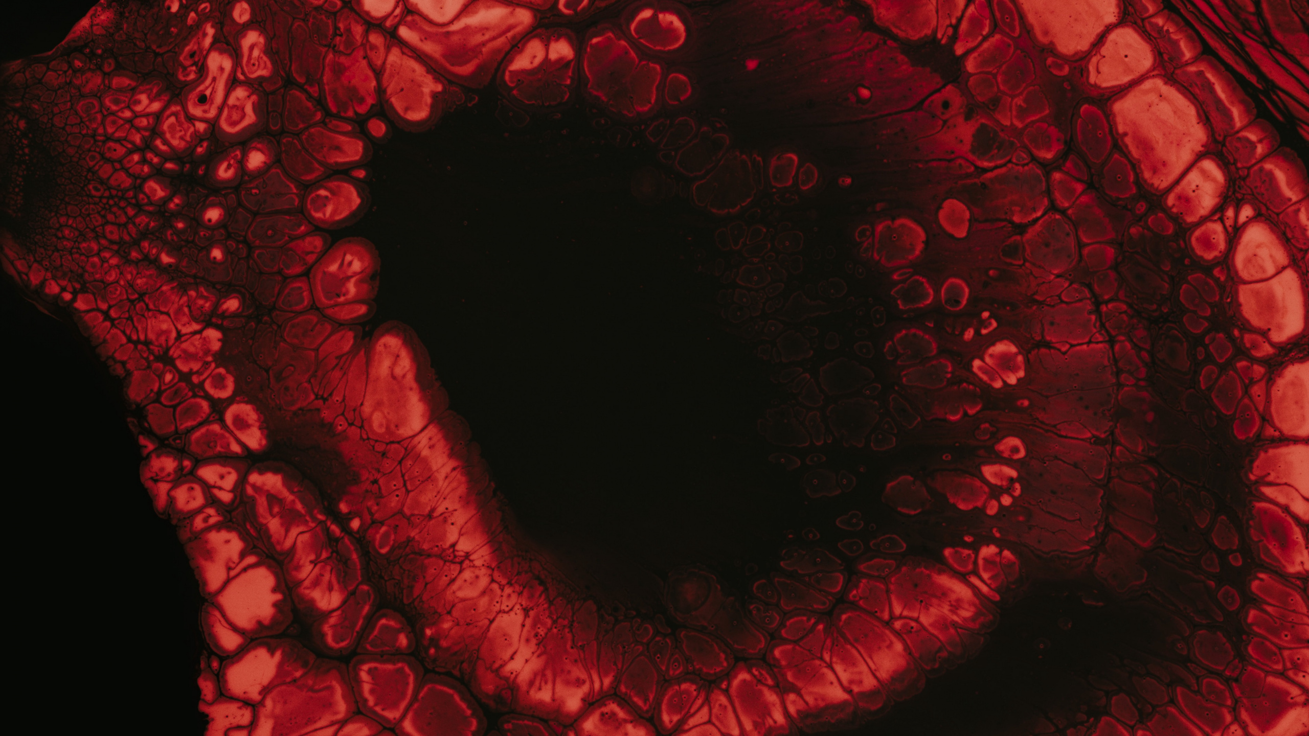 Обои фрактальное искусство, иллюстрация, красный цвет, глаз, орган в разрешении 2560x1440