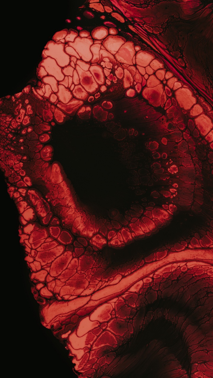 Обои фрактальное искусство, иллюстрация, красный цвет, глаз, орган в разрешении 720x1280