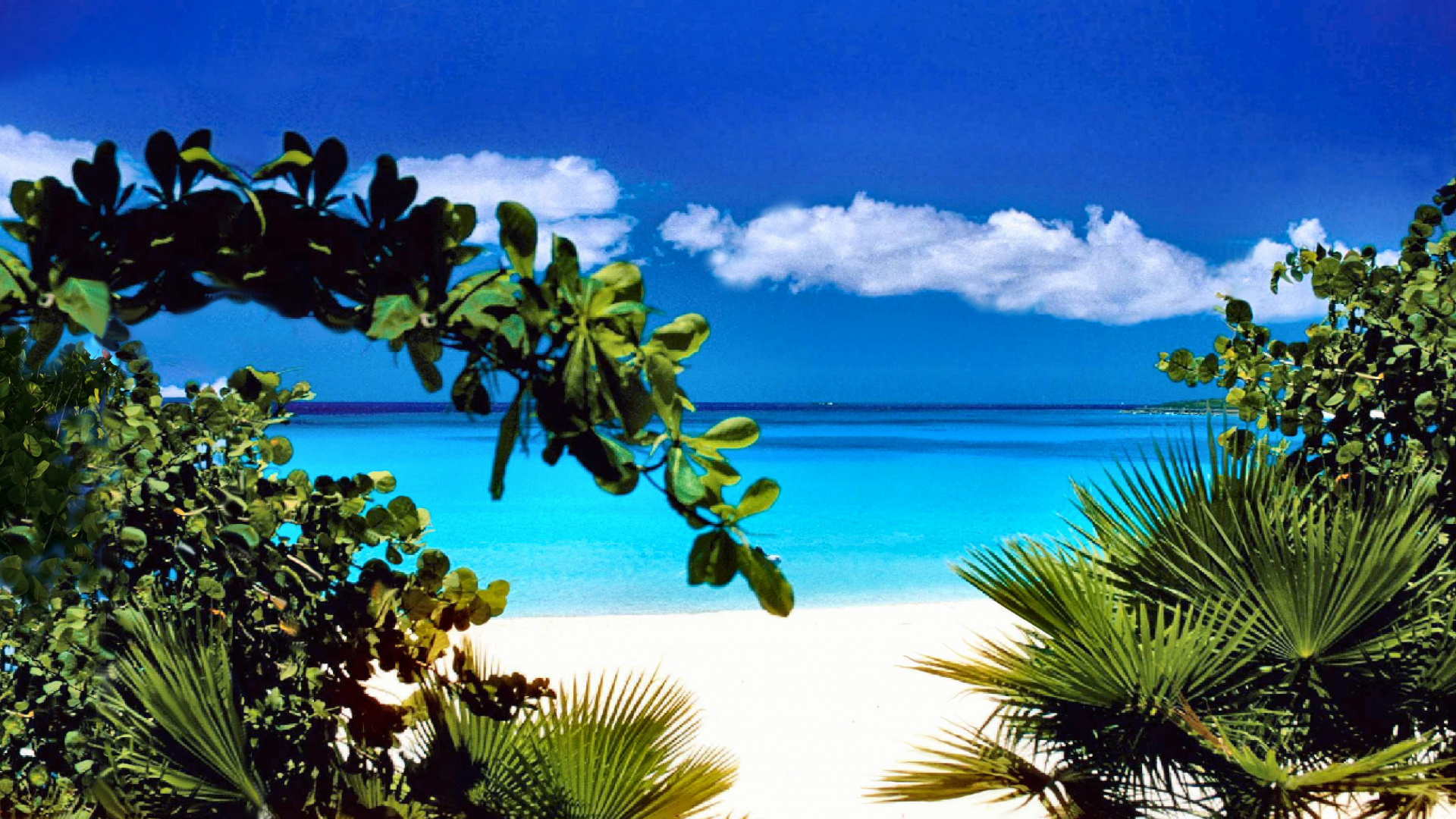 Обои Санкт-Barthlemy, отпуск, прибежище, растительность, природа в разрешении 1920x1080