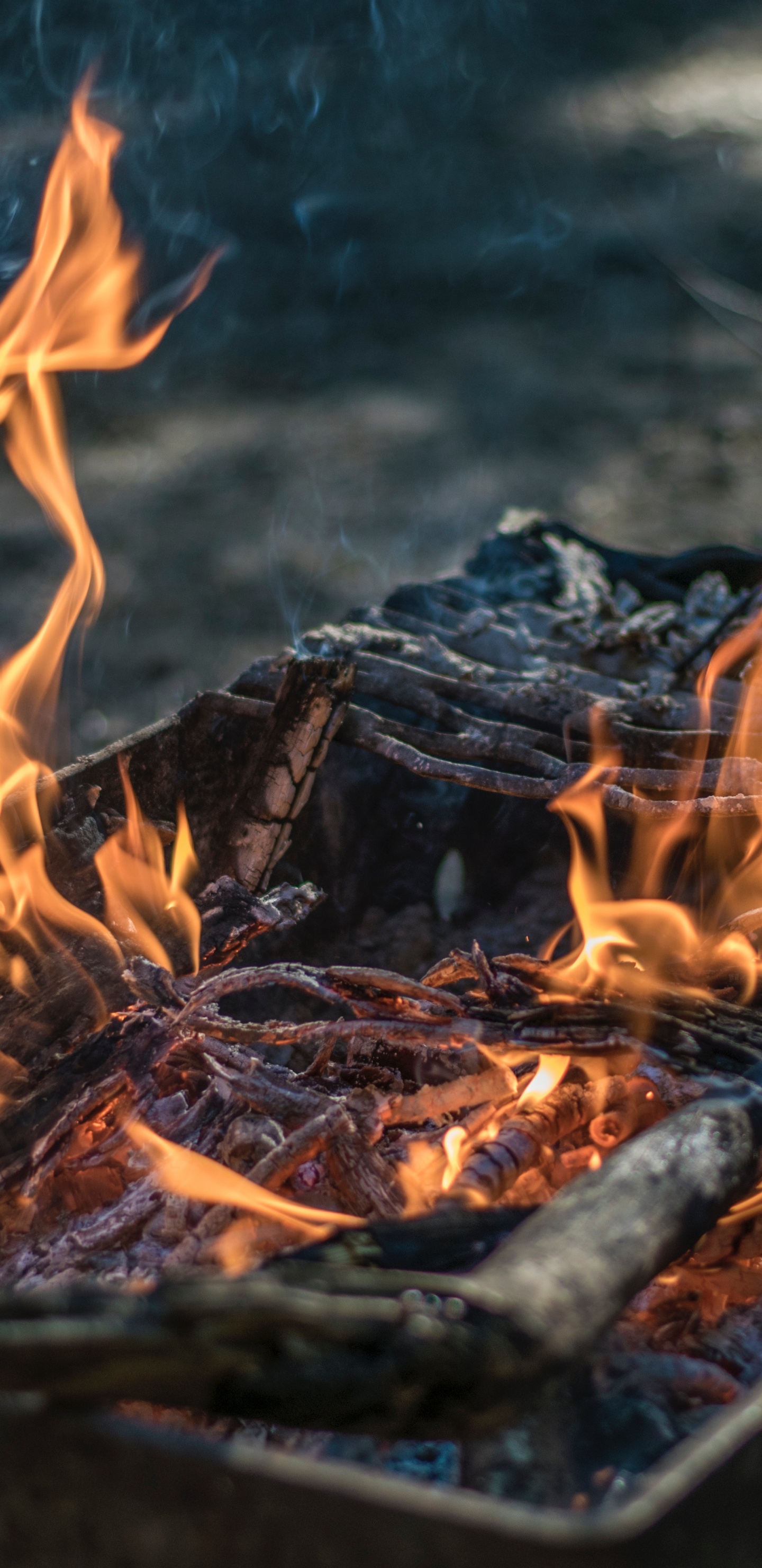 Обои костер, огонь, яма пожара, пламя, тепло в разрешении 1440x2960
