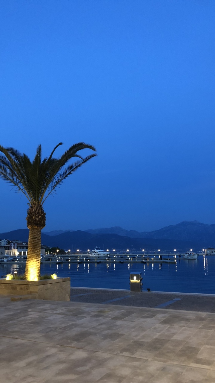 Обои пальмовые рощи, вода, туризм, горизонт, лазурный в разрешении 720x1280