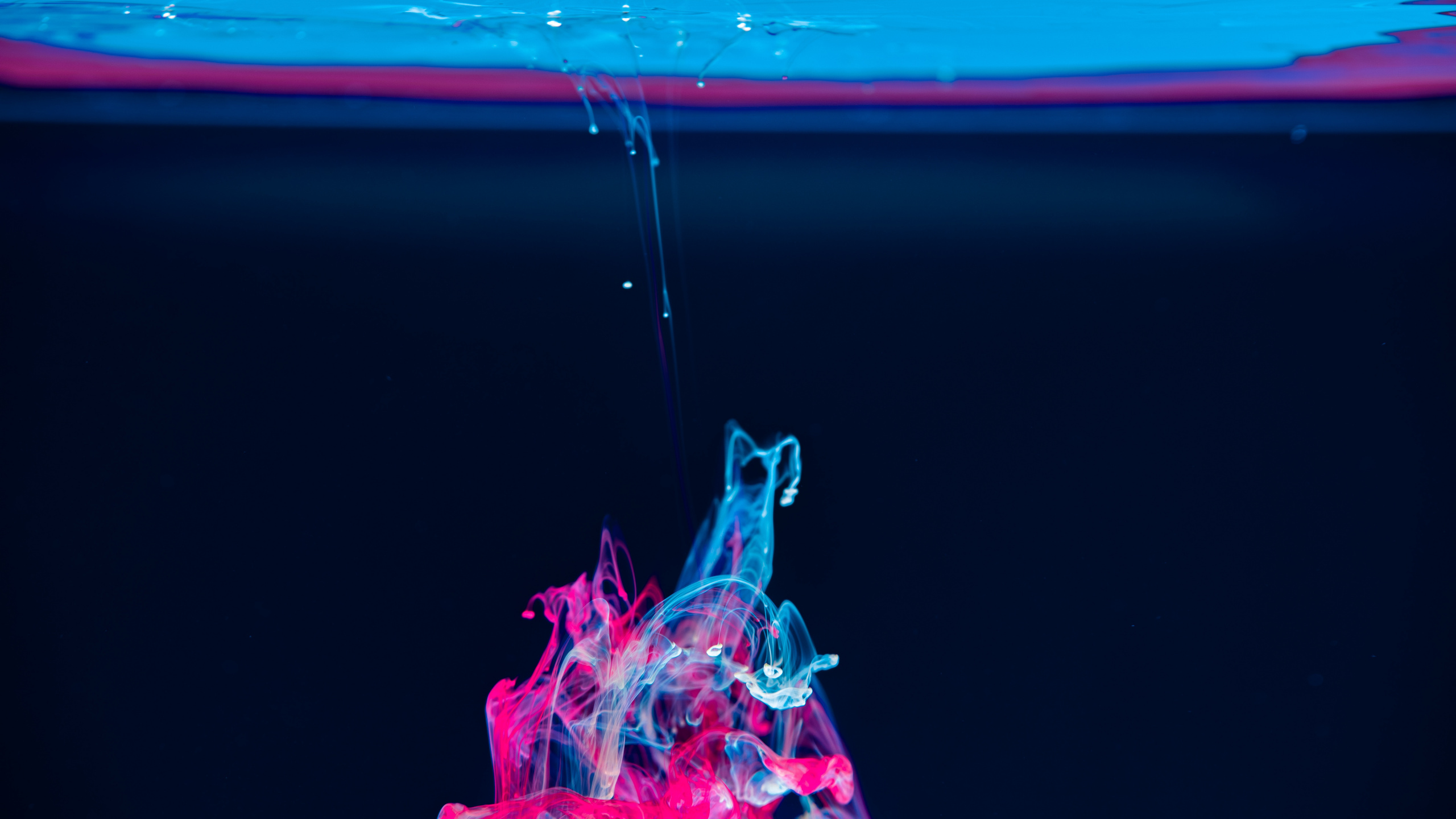 Обои синий, розовый, вода, жидкий, жидкость в разрешении 2560x1440