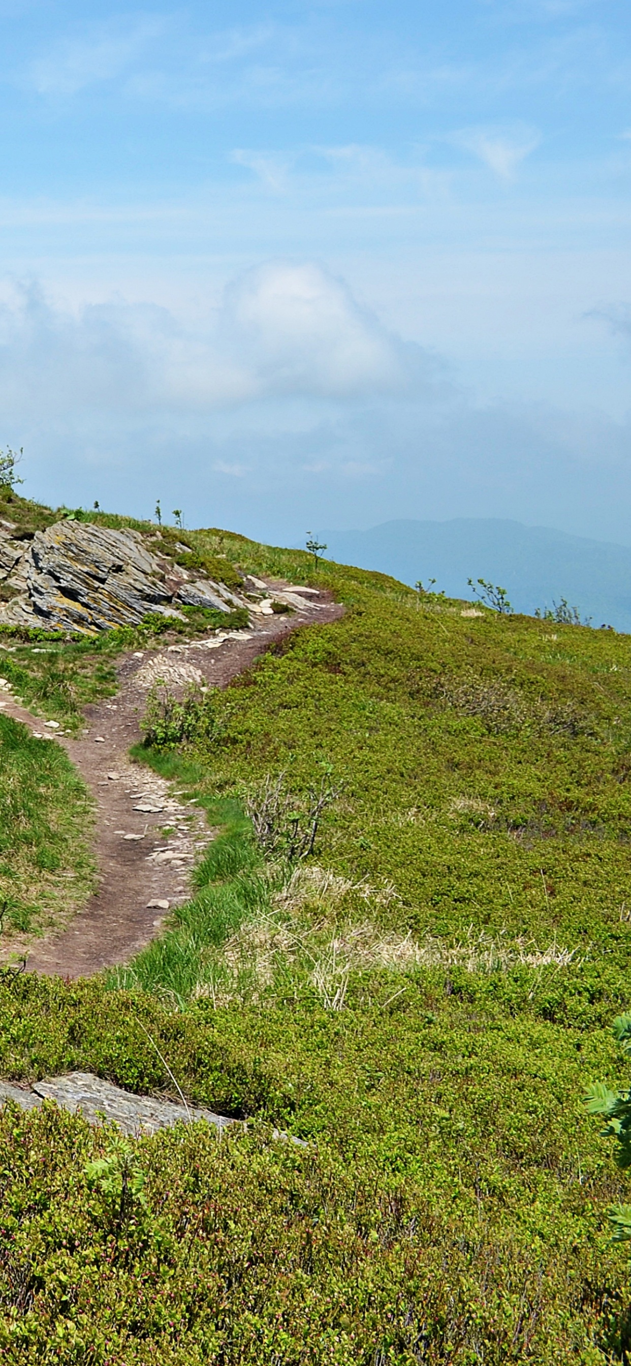 Обои горный рельеф, нагорье, холм, хребет, дикая местность в разрешении 1242x2688