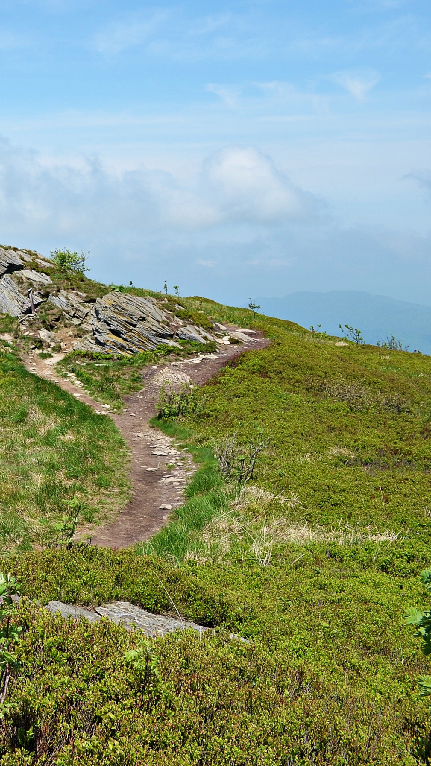 Обои горный рельеф, нагорье, холм, хребет, дикая местность в разрешении 1440x2560