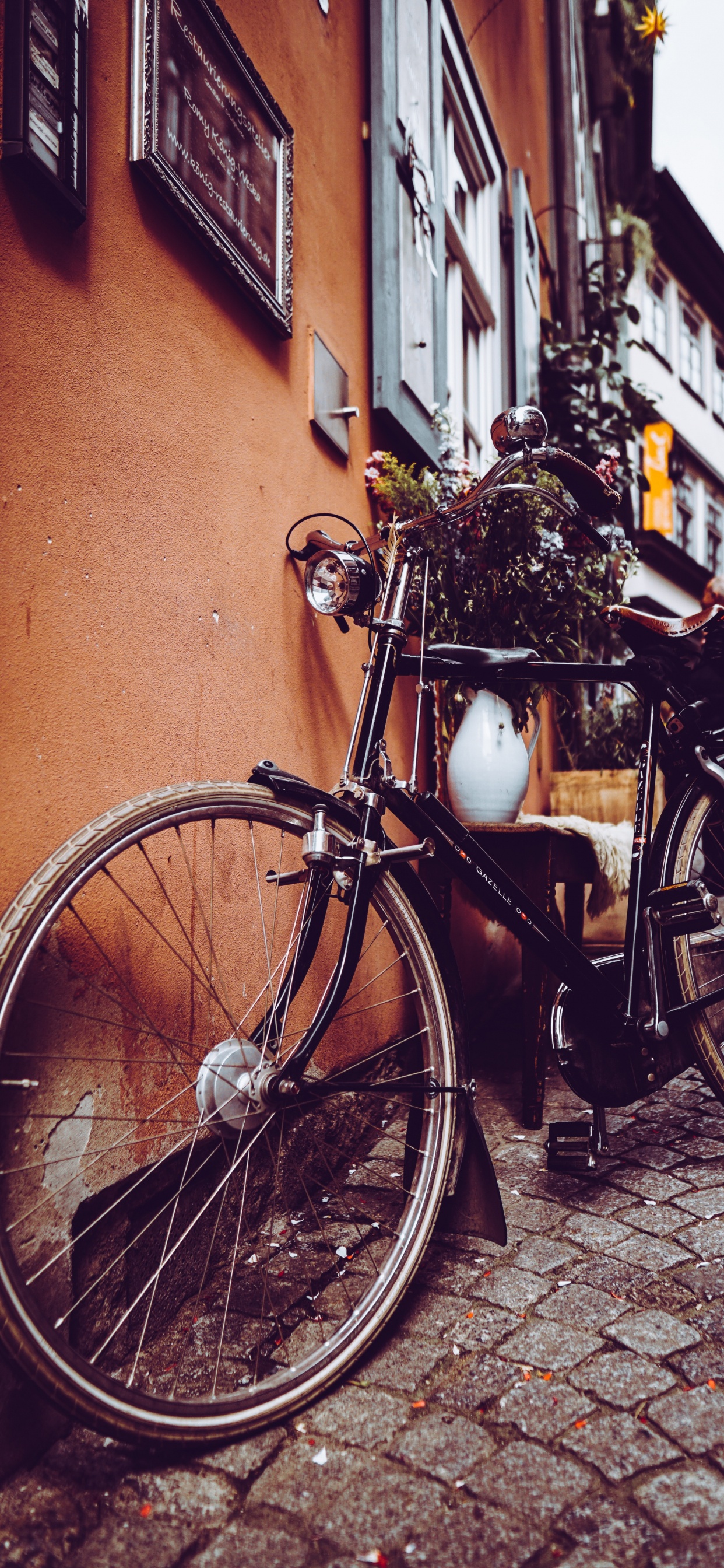 Обои велосипедное колесо, гибридный велосипед, снимок, свет, велосипед в разрешении 1242x2688