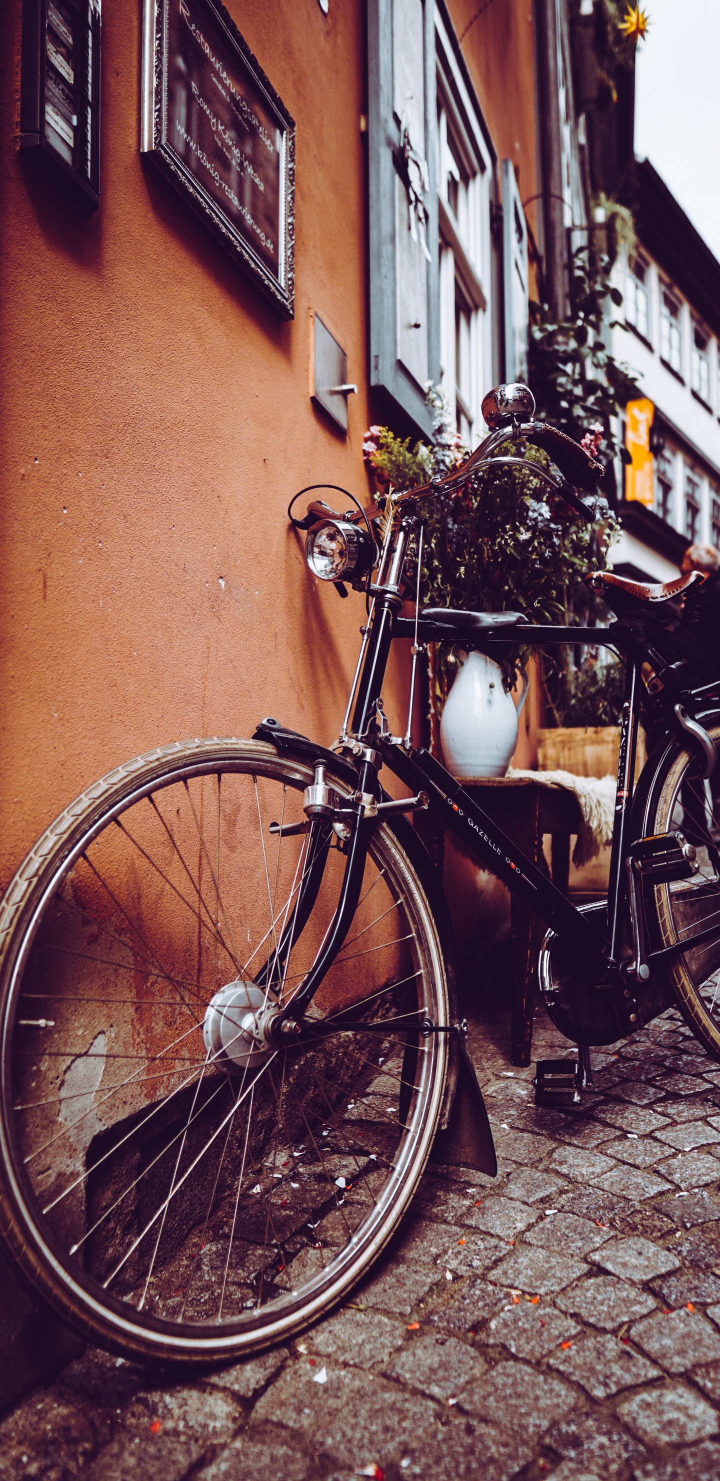 Обои велосипедное колесо, гибридный велосипед, снимок, свет, велосипед в разрешении 1440x2960