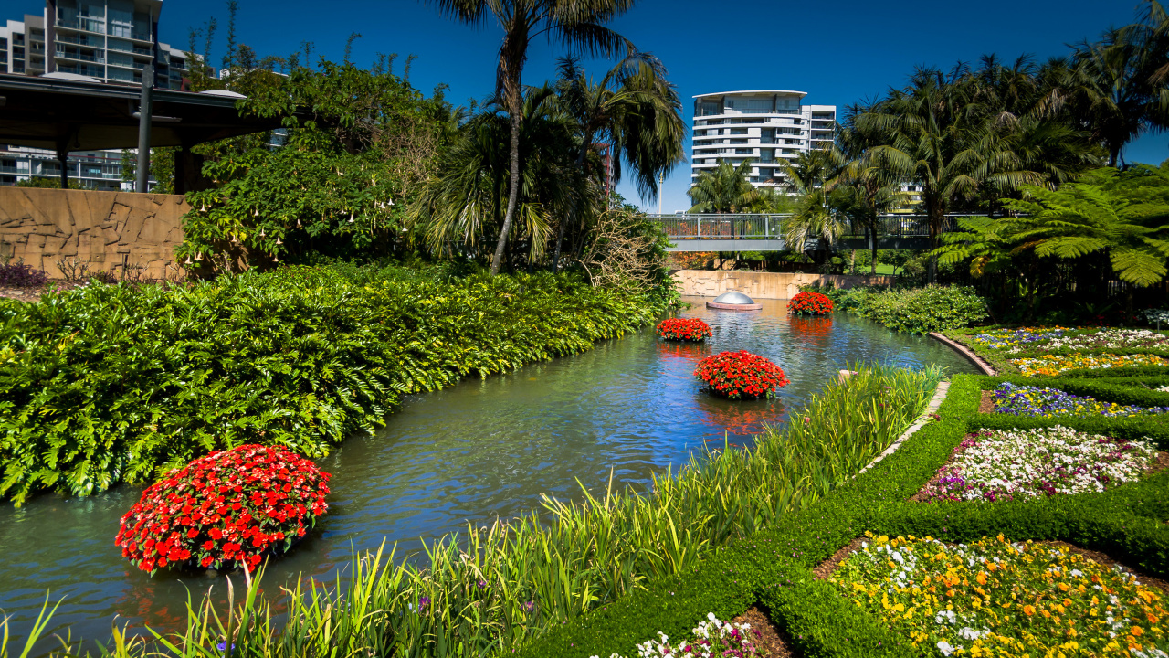 Обои анютины глазки, природа, сад, Ботанический сад, растительность в разрешении 1280x720