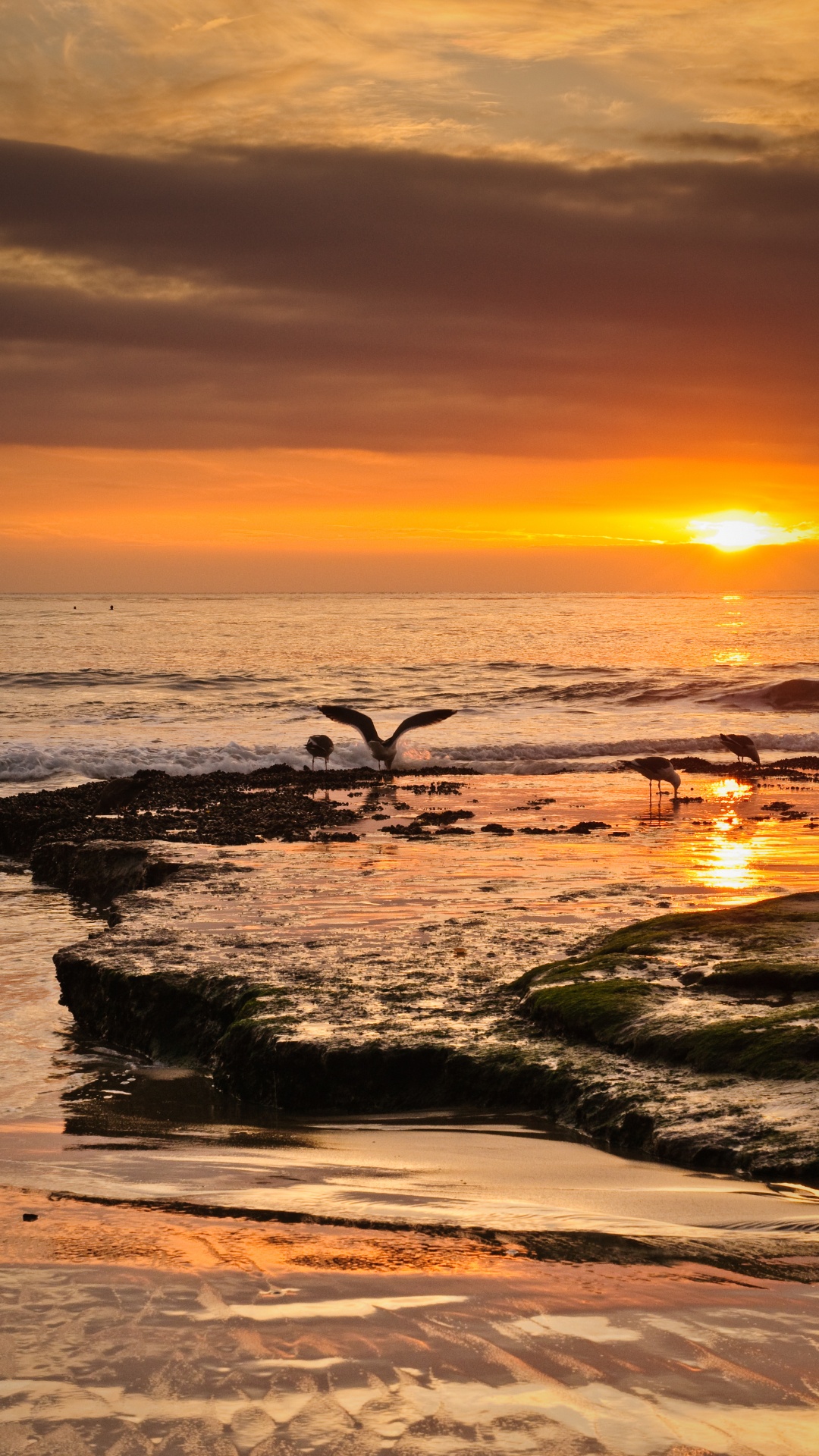 Обои берег, небо, побережье, волна, природа в разрешении 1080x1920