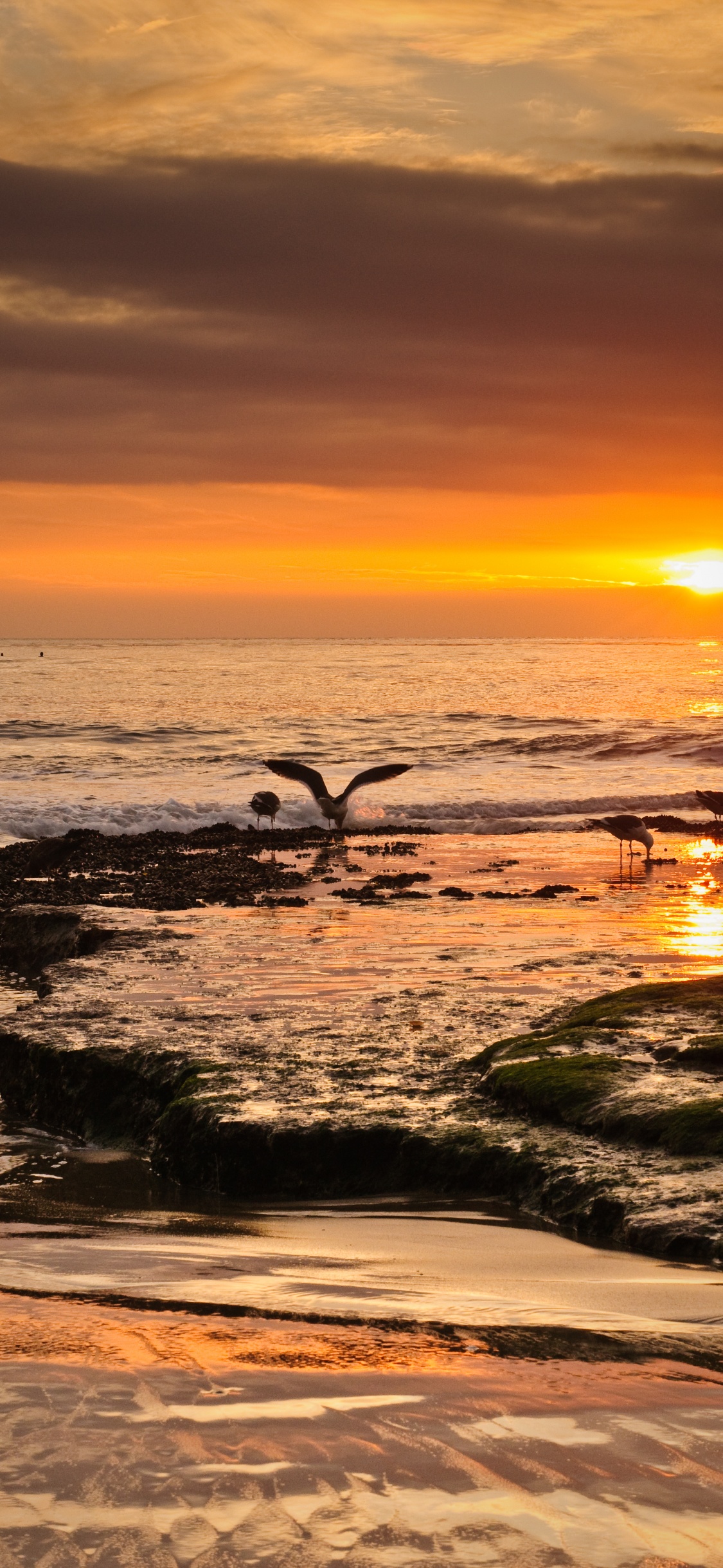 Обои берег, небо, побережье, волна, природа в разрешении 1125x2436