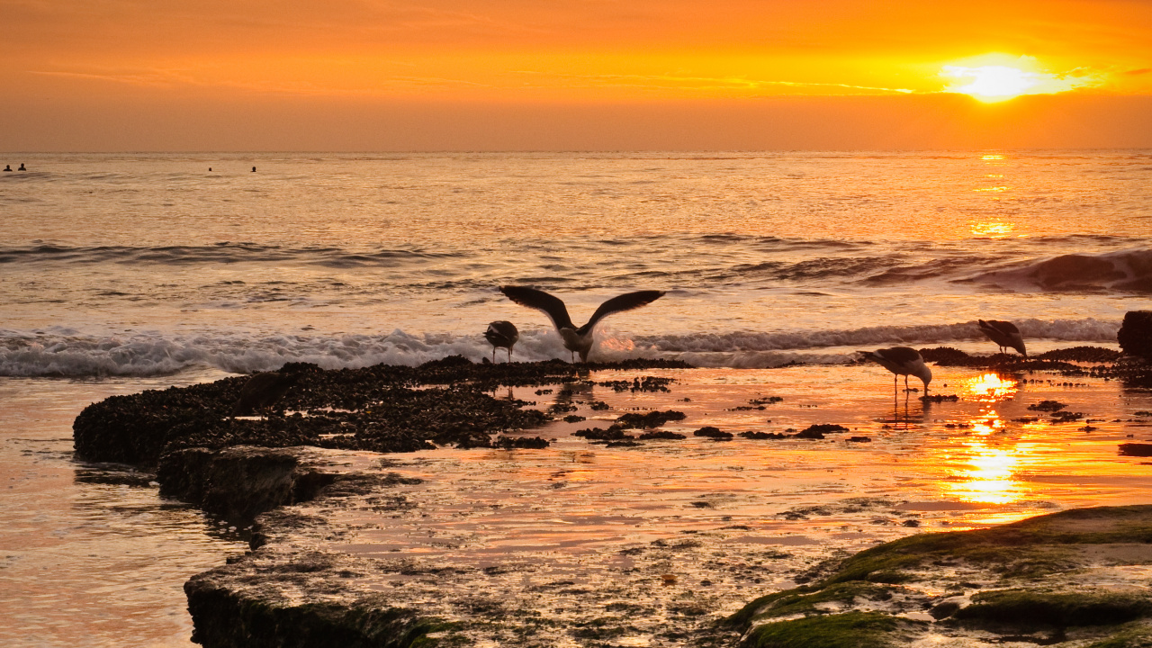 Обои берег, небо, побережье, волна, природа в разрешении 1280x720