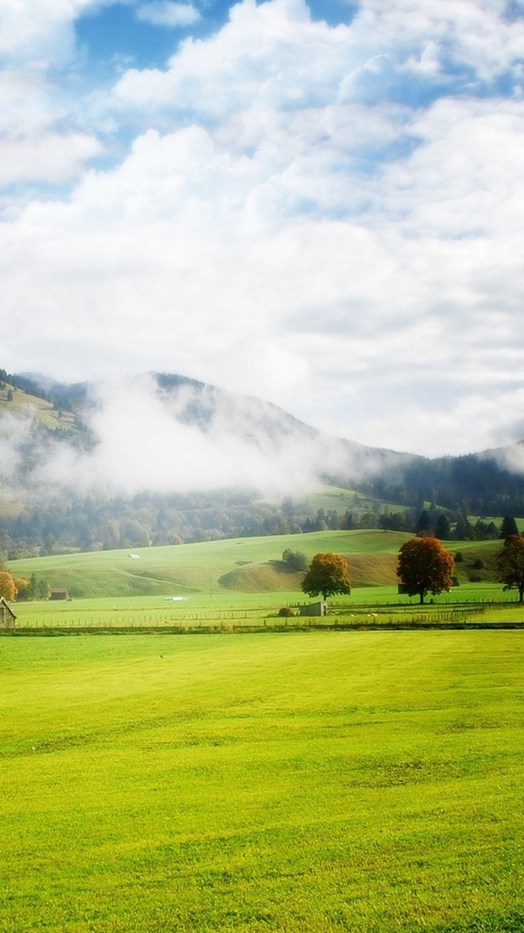 Обои сенокосное угодье, природа, выгон, поле, горная станция в разрешении 750x1334