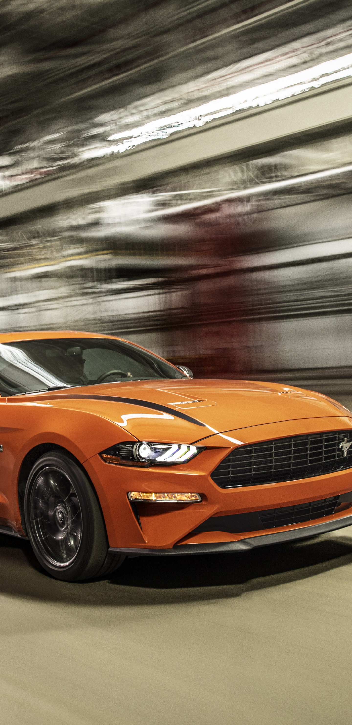 Обои авто, компания Ford, спорткар, ford, 2020 Форд Мустанг Экобуст в разрешении 1440x2960