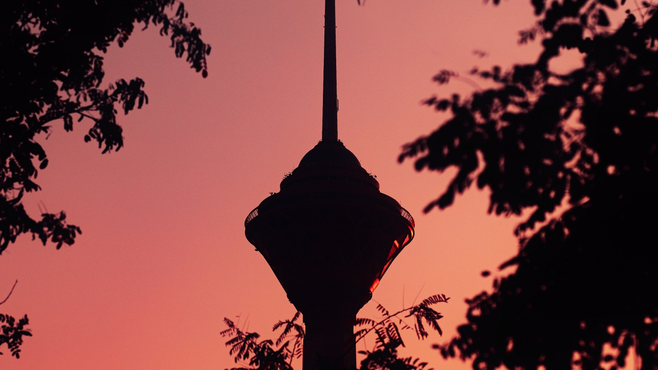 Обои дерево, силуэт, закат, ветвь, древесные растения в разрешении 1280x720