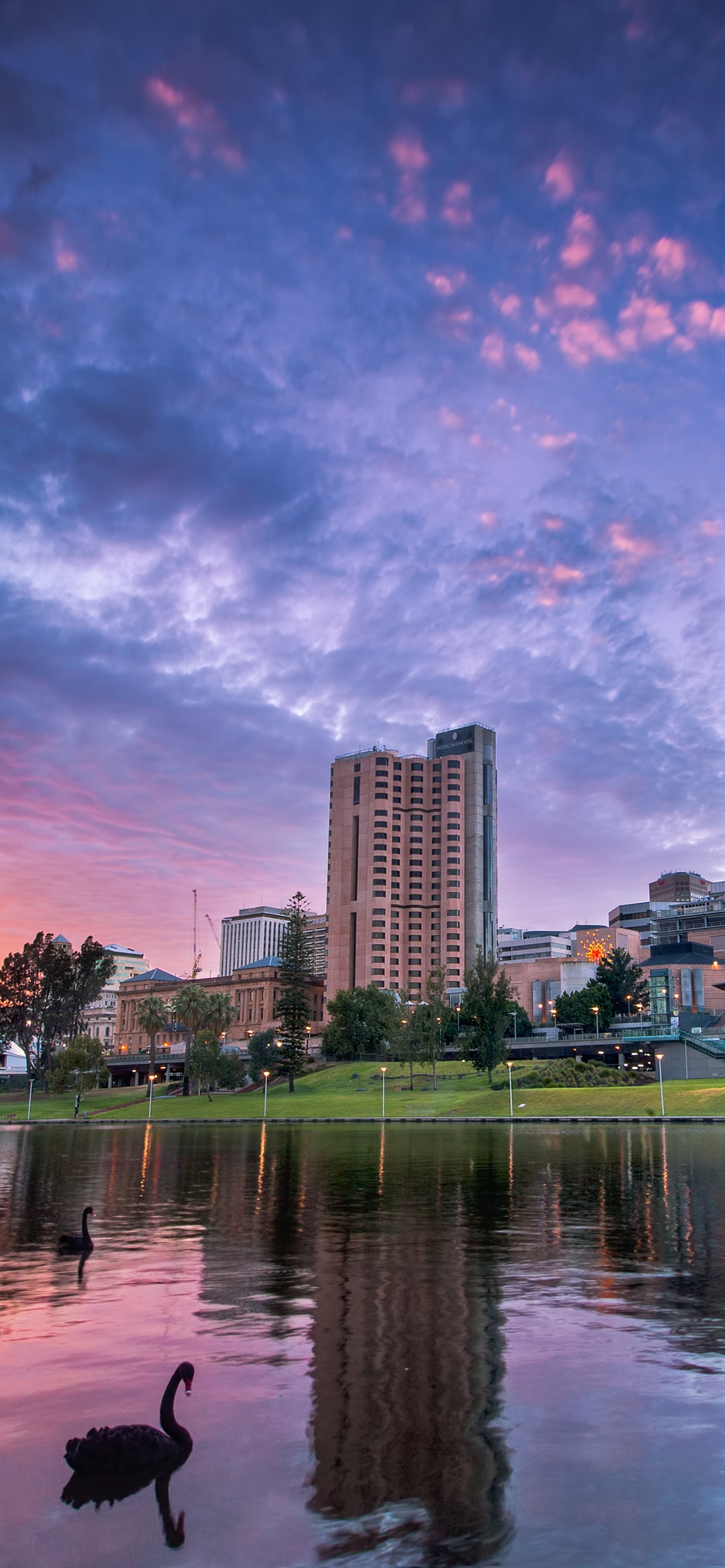 Обои отражение, природа, город, вода, городской пейзаж в разрешении 1242x2688