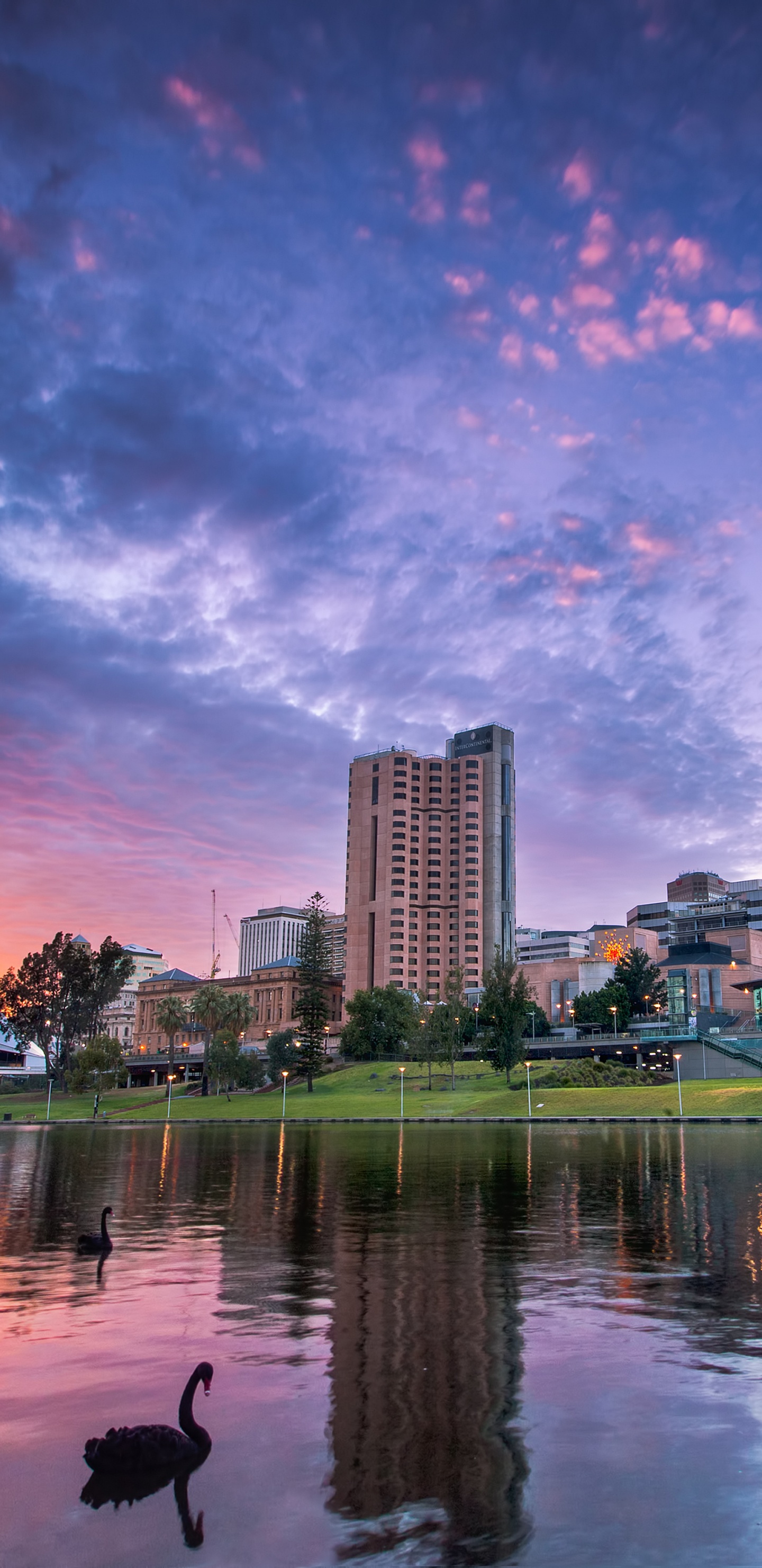 Обои отражение, природа, город, вода, городской пейзаж в разрешении 1440x2960