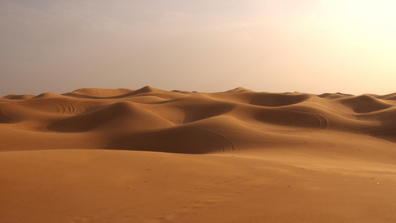 Обои пустыня, песок, эрг, эолийские рельефы, сахара в разрешении 1280x720
