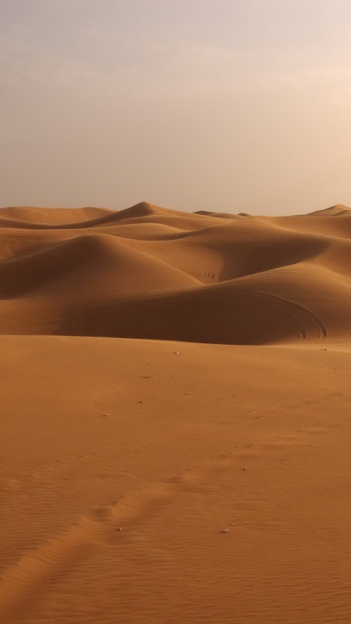 Обои пустыня, песок, эрг, эолийские рельефы, сахара в разрешении 720x1280