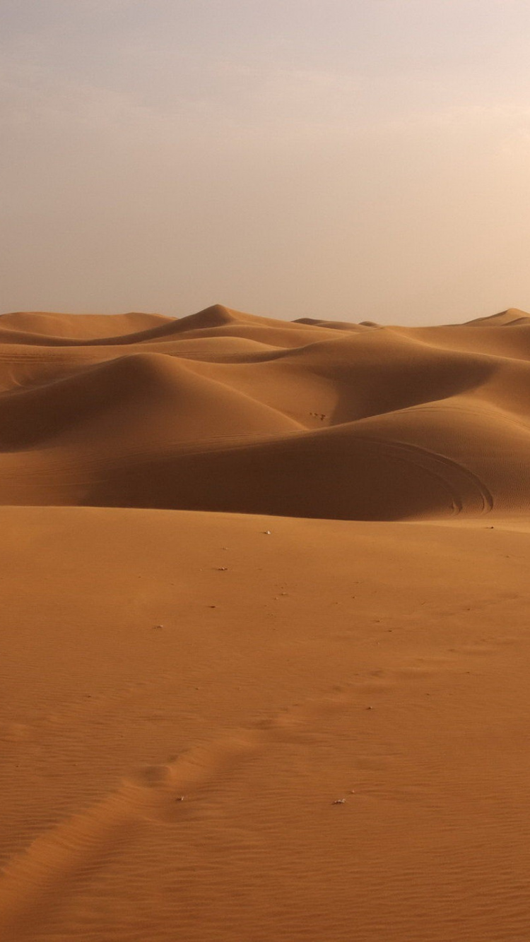 Обои пустыня, песок, эрг, эолийские рельефы, сахара в разрешении 750x1334