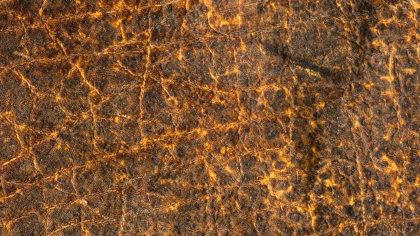 Обои текстура, коричневый цвет, узор, рок, животное в разрешении 1366x768