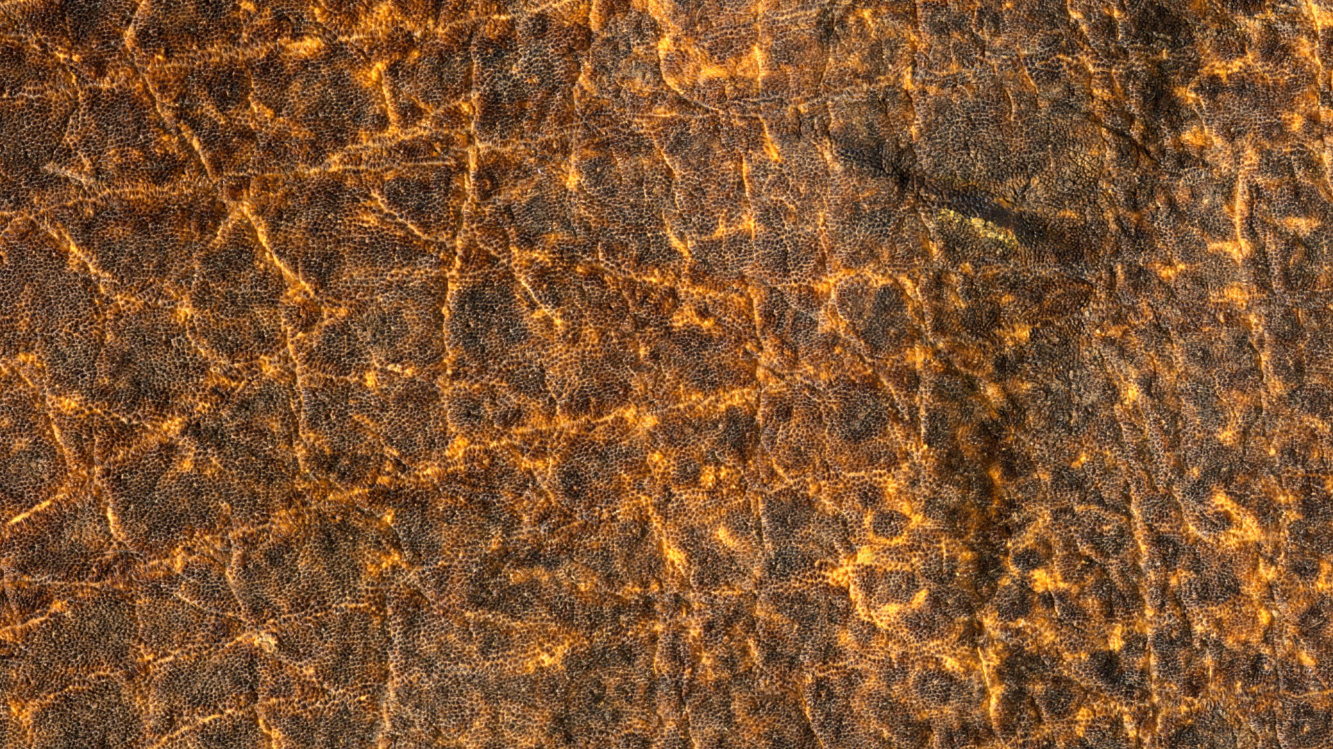 Обои текстура, коричневый цвет, узор, рок, животное в разрешении 1920x1080