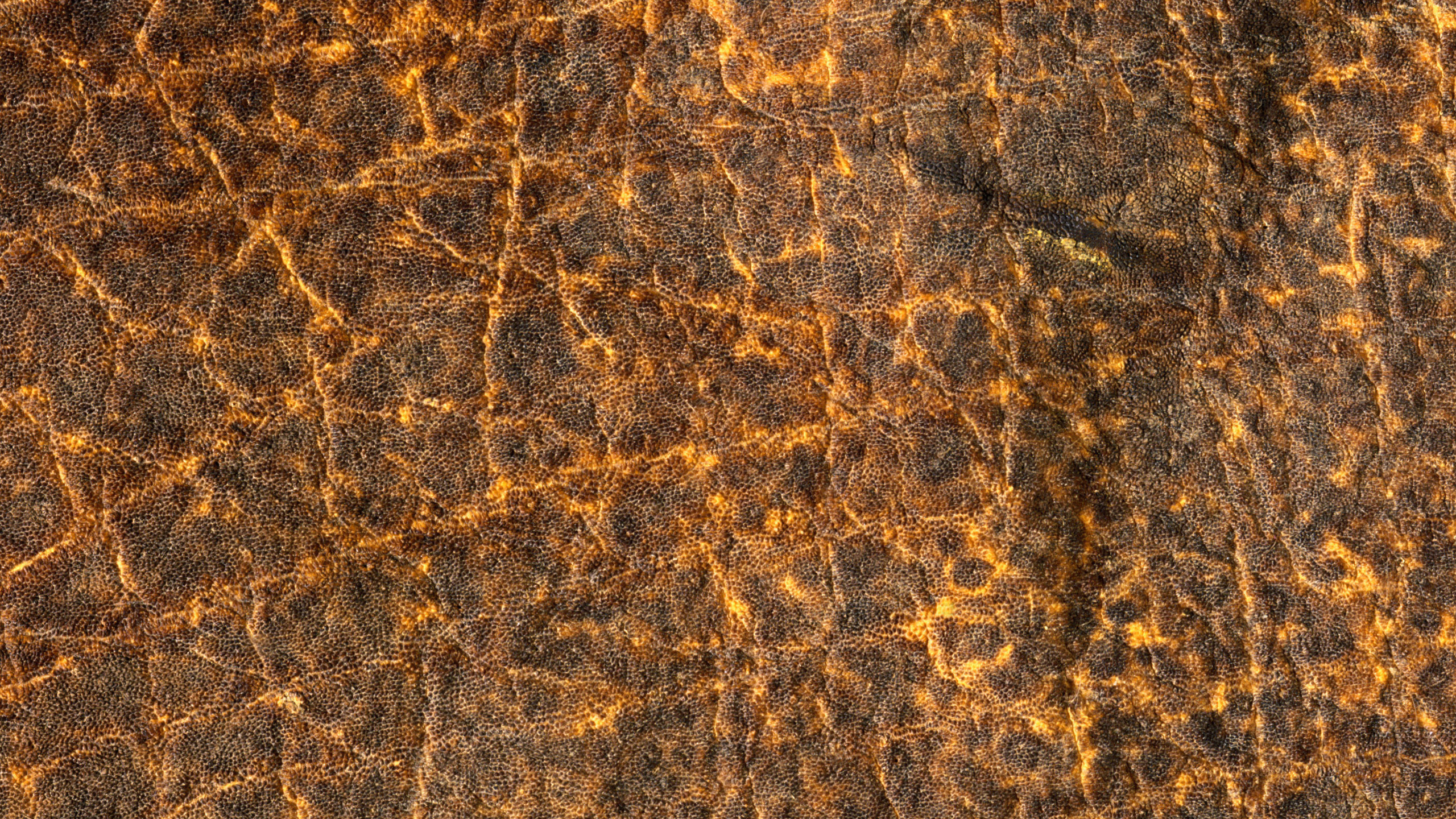 Обои текстура, коричневый цвет, узор, рок, животное в разрешении 2560x1440