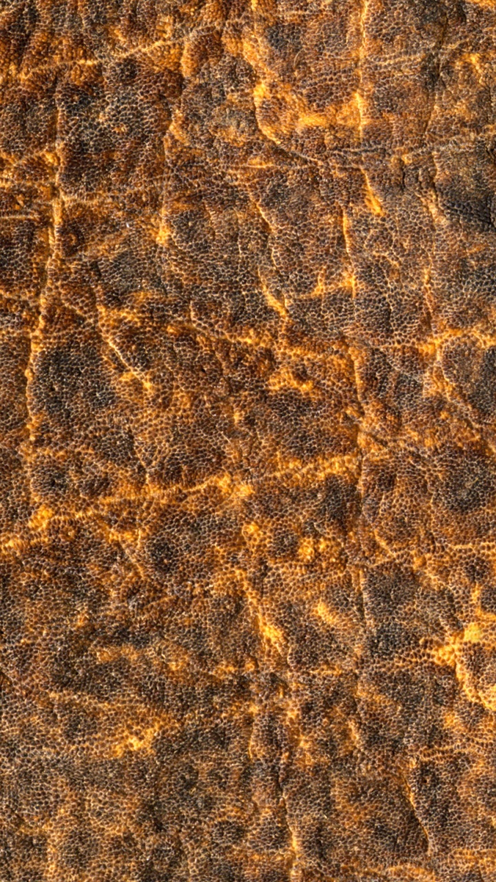 Обои текстура, коричневый цвет, узор, рок, животное в разрешении 720x1280