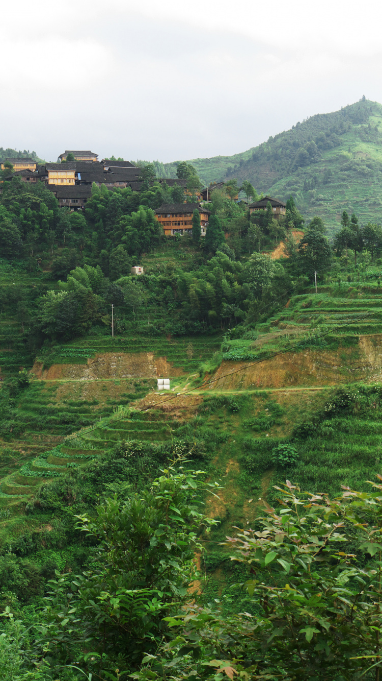 Обои растительность, природа, нагорье, горная станция, терраса в разрешении 750x1334