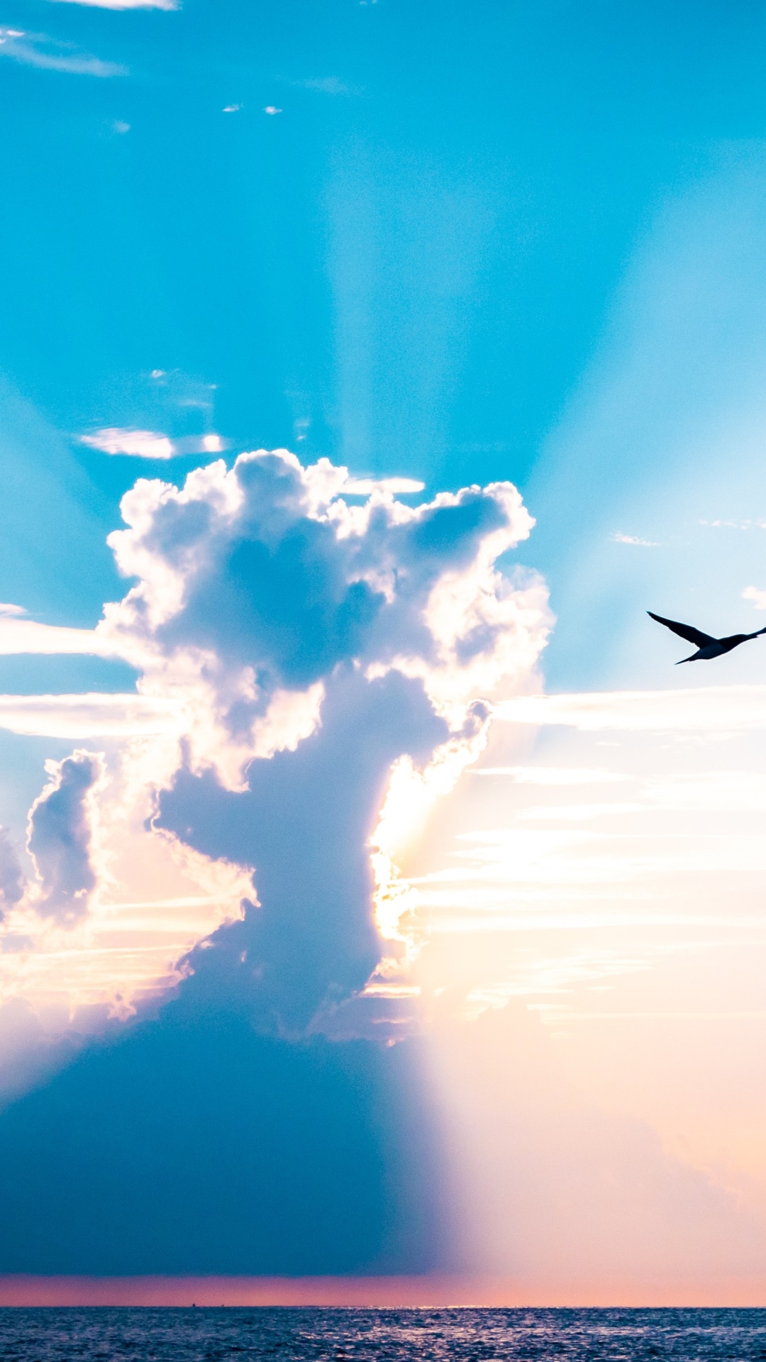 Обои облако, атмосфера, дневное время, послесвечение, птица в разрешении 1080x1920