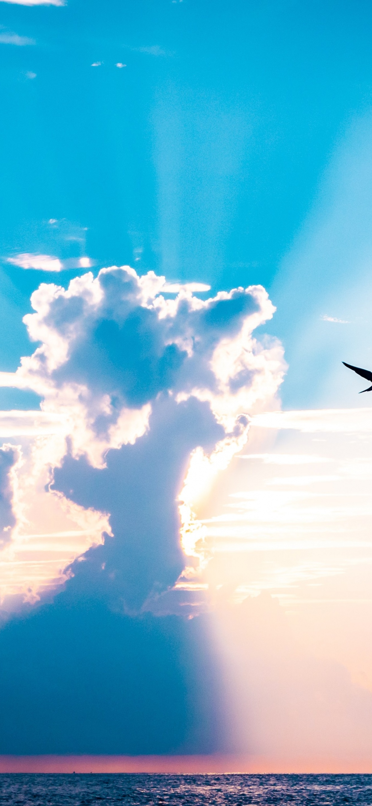 Обои облако, атмосфера, дневное время, послесвечение, птица в разрешении 1242x2688