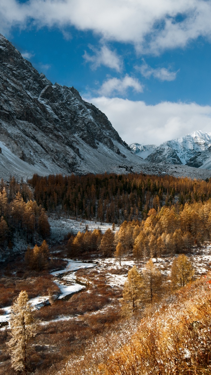 Обои горный рельеф, гора, природа, дикая местность, дерево в разрешении 720x1280