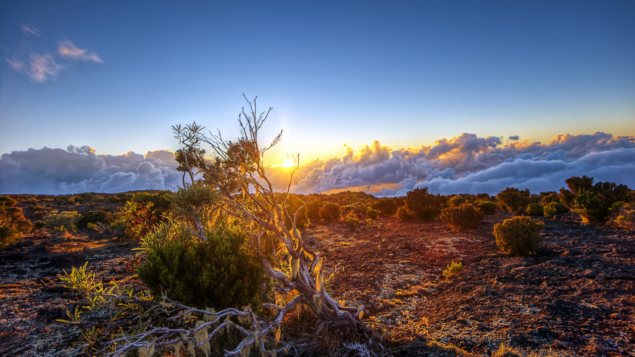 Обои природа, дикая местность, дерево, растительность, гора в разрешении 1280x720