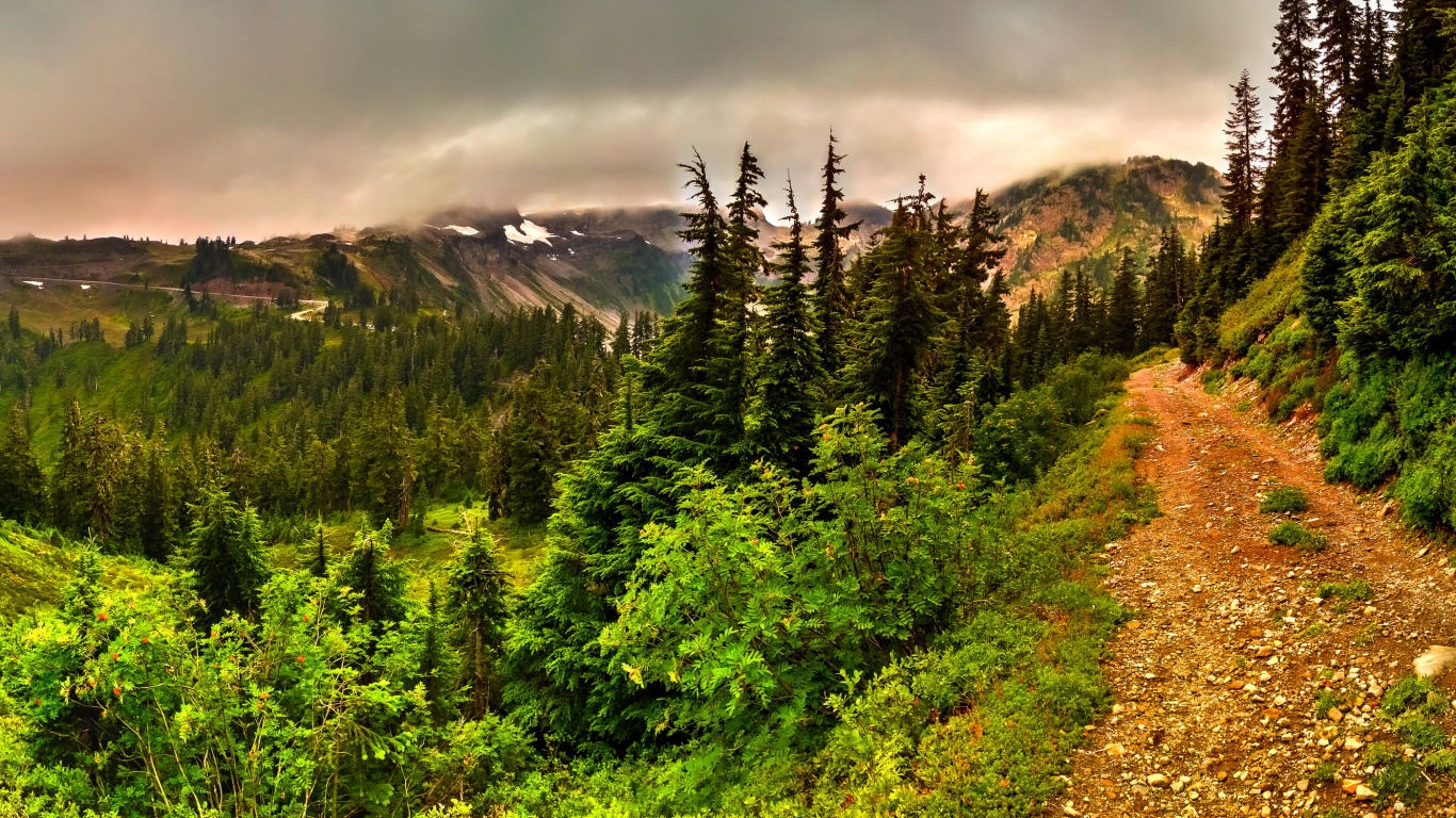 Обои пейзаж, природа, дикая местность, дерево, растительность в разрешении 1366x768
