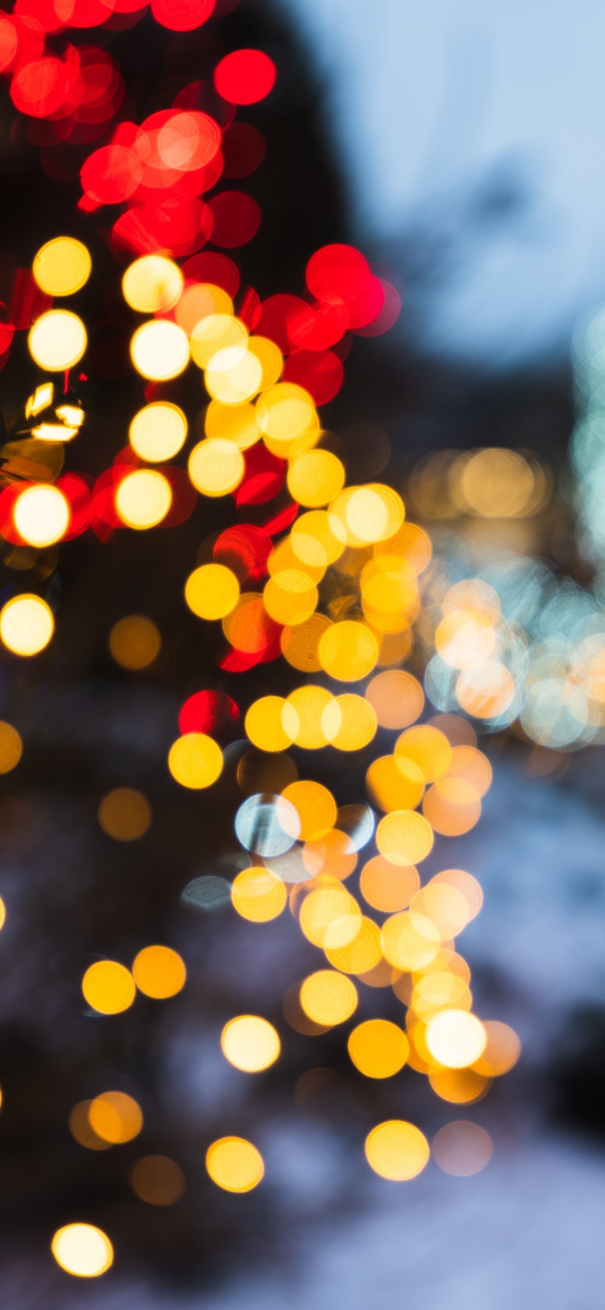 Обои Рождественский день, свет, освещение, отражение, вода в разрешении 1242x2688