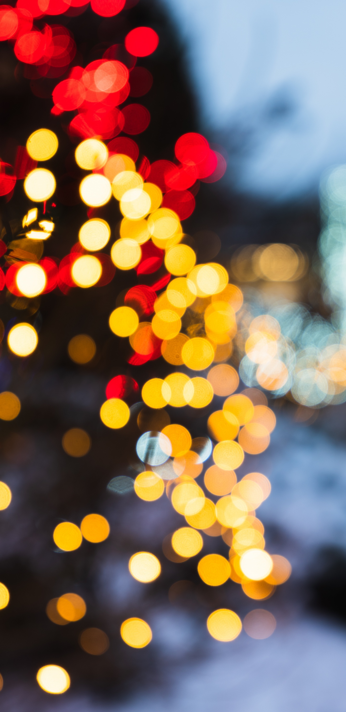 Обои Рождественский день, свет, освещение, отражение, вода в разрешении 1440x2960