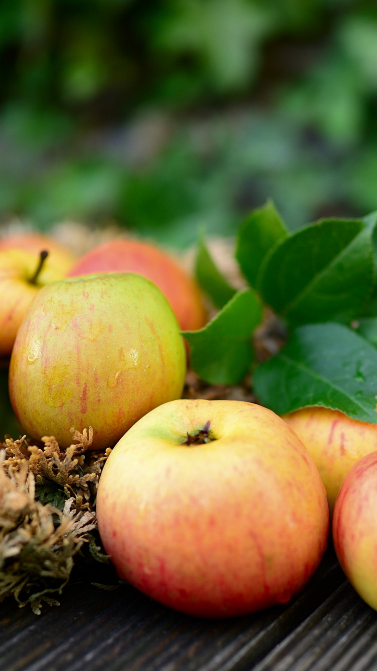 Обои lenovo chromebook s345, пища, природные продукты, фрукты, растение в разрешении 750x1334