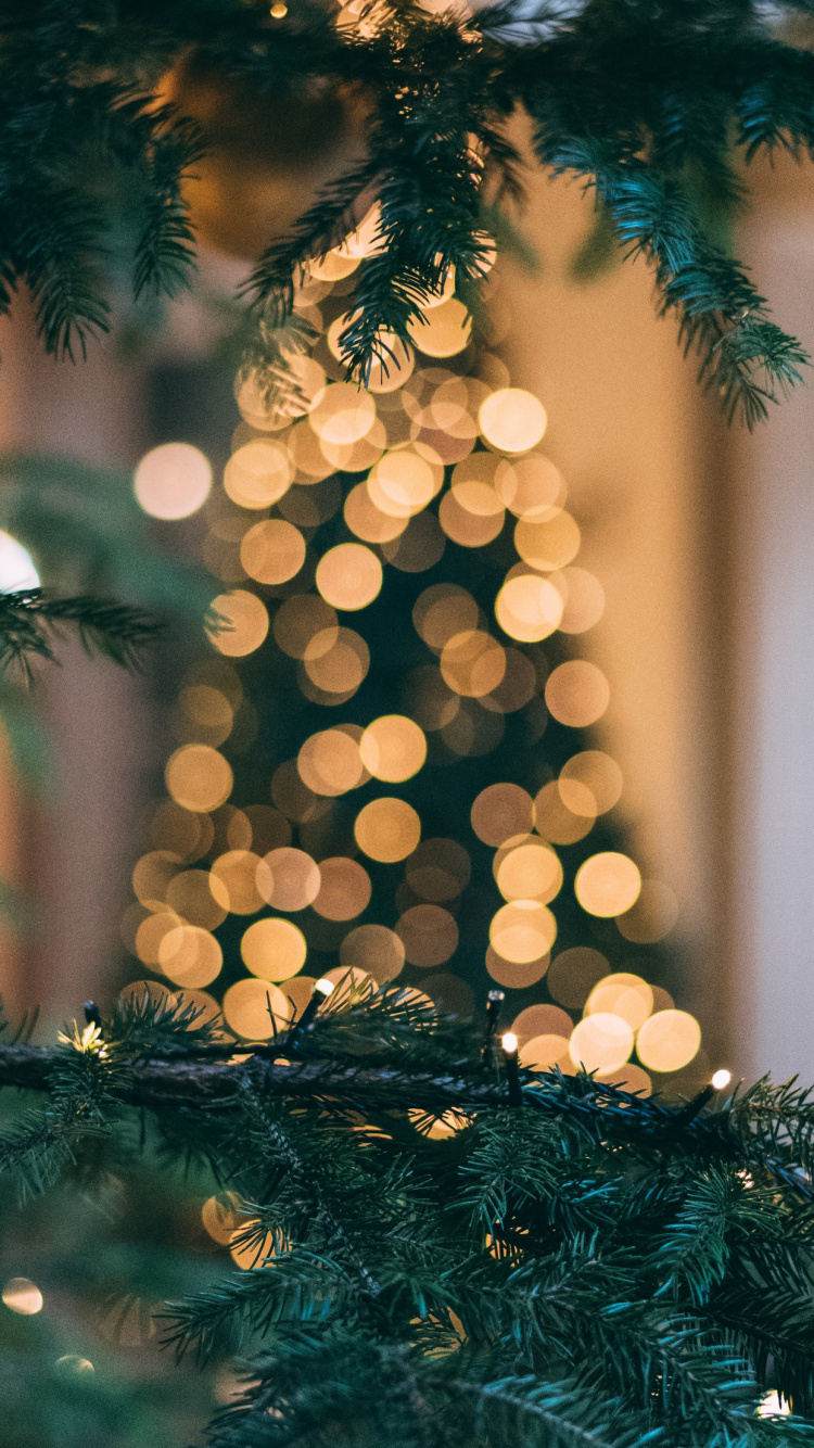 Обои планшет, ios, Рождественский день, яблоко, елка в разрешении 750x1334