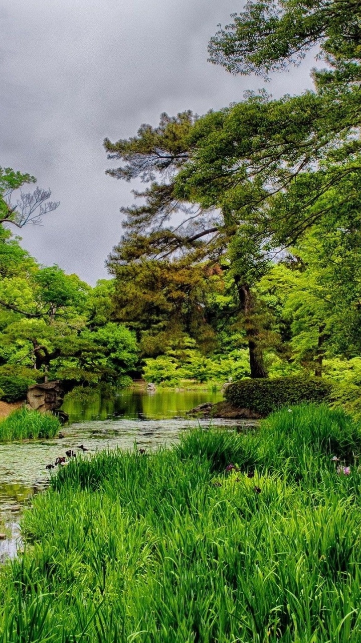 Обои пейзаж, Рицурин Сад, природа, растительность, вода в разрешении 720x1280
