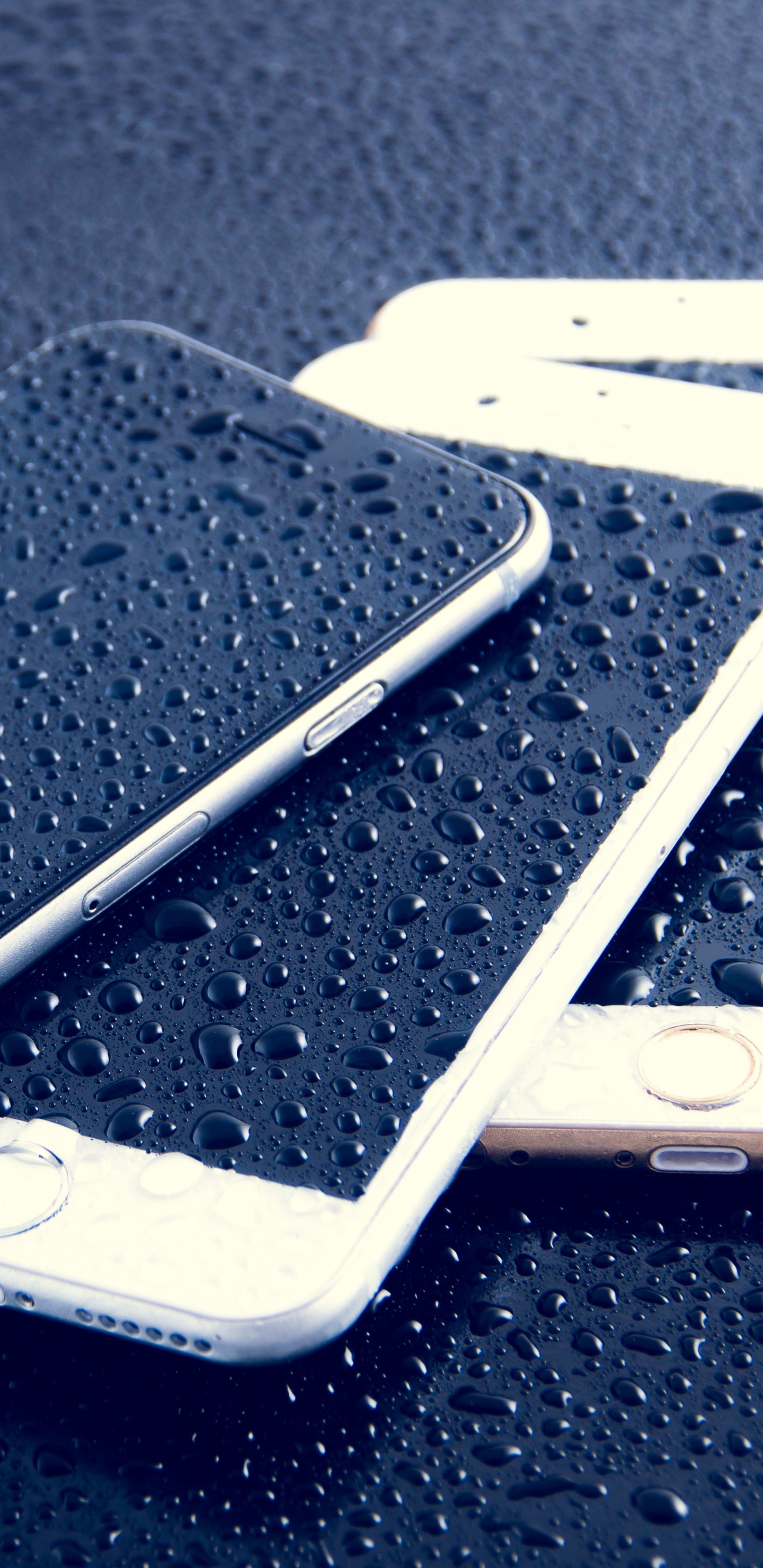 Обои apple, гаджет, бампер, технологии, электронное устройство в разрешении 1440x2960