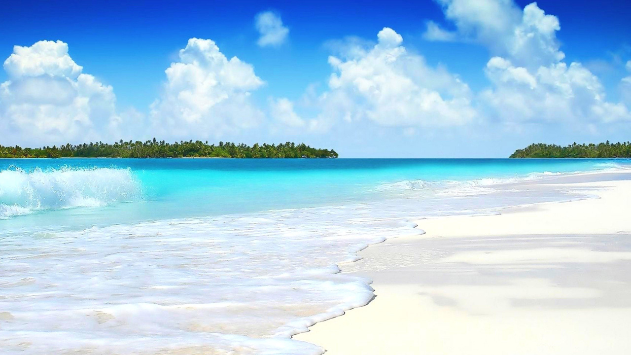 Обои пляж, песок, водоем, море, тропическая зона в разрешении 1280x720