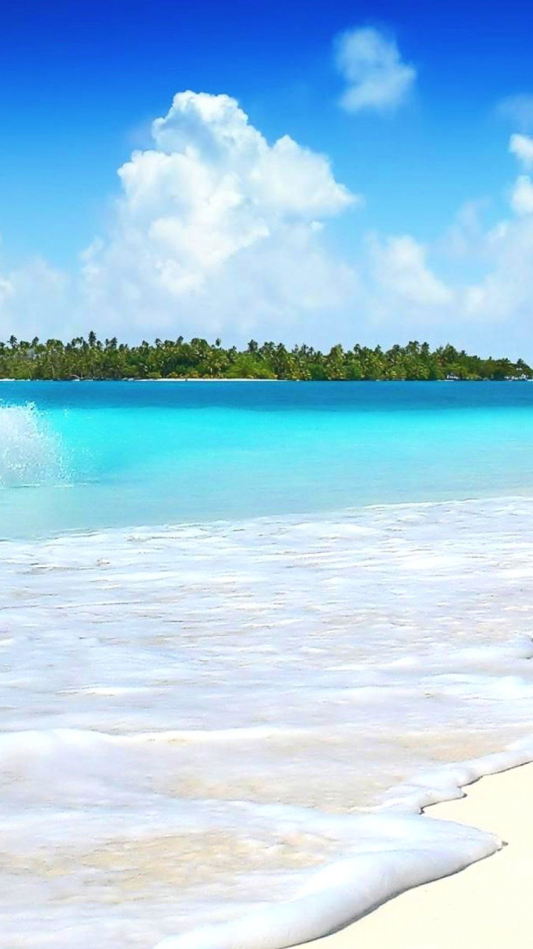 Обои пляж, песок, водоем, море, тропическая зона в разрешении 750x1334