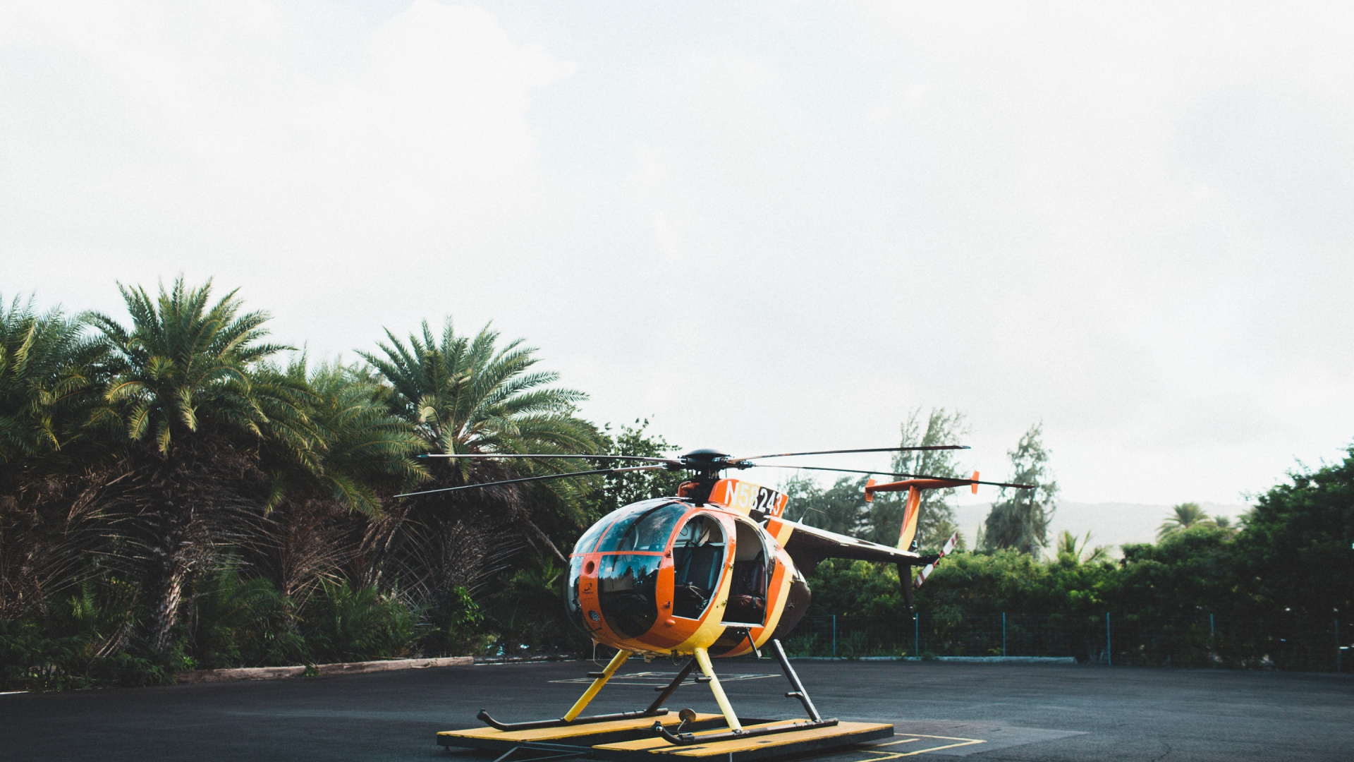 Обои самолеты, винтокрылая машина, дерево, высадка, отдых в разрешении 1920x1080